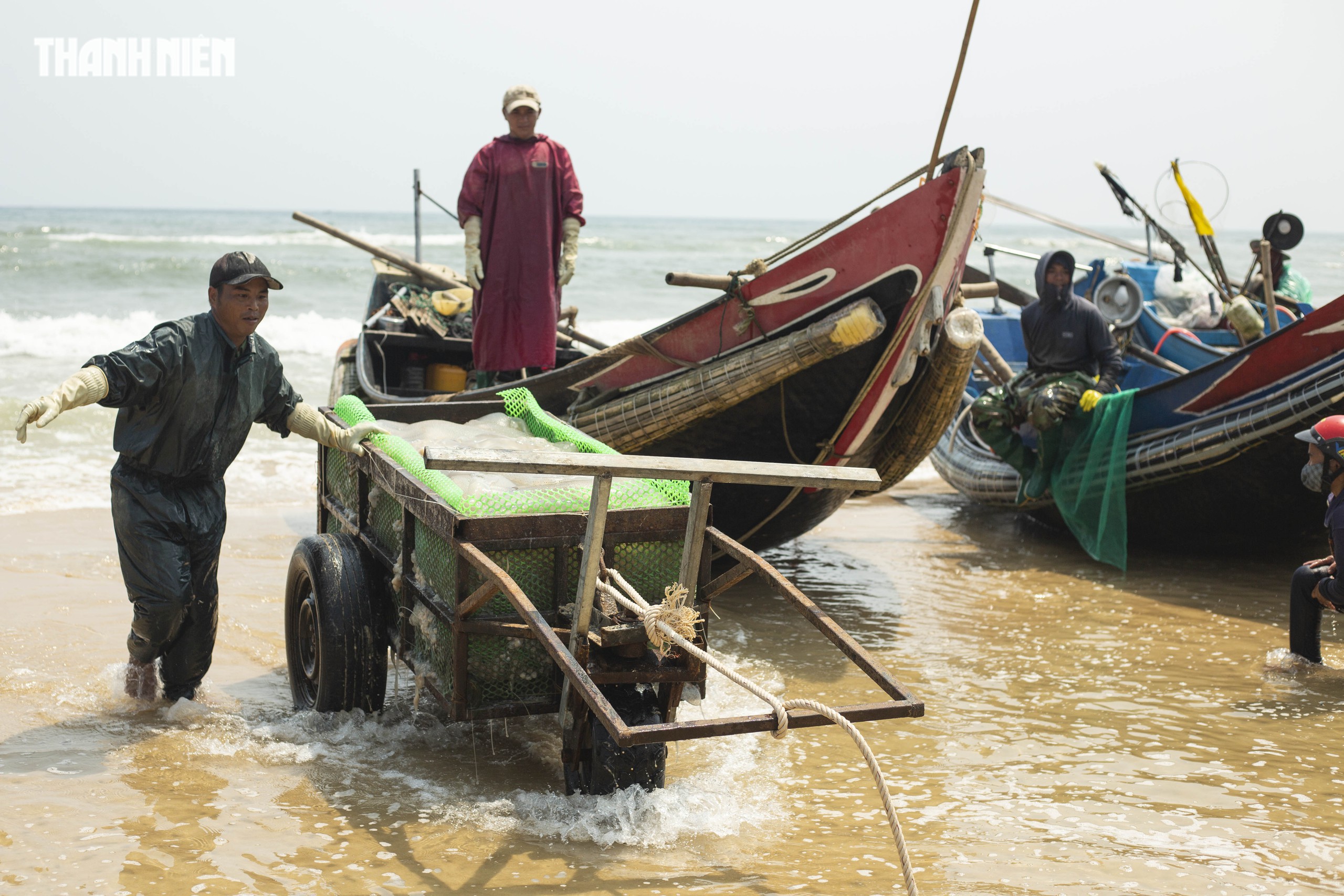 Tr&uacute;ng m&ugrave;a sứa 'lịch sử': Thuyền đầy ắp, ngư d&acirc;n kiếm tiền triệu mỗi ng&agrave;y - Ảnh 5.