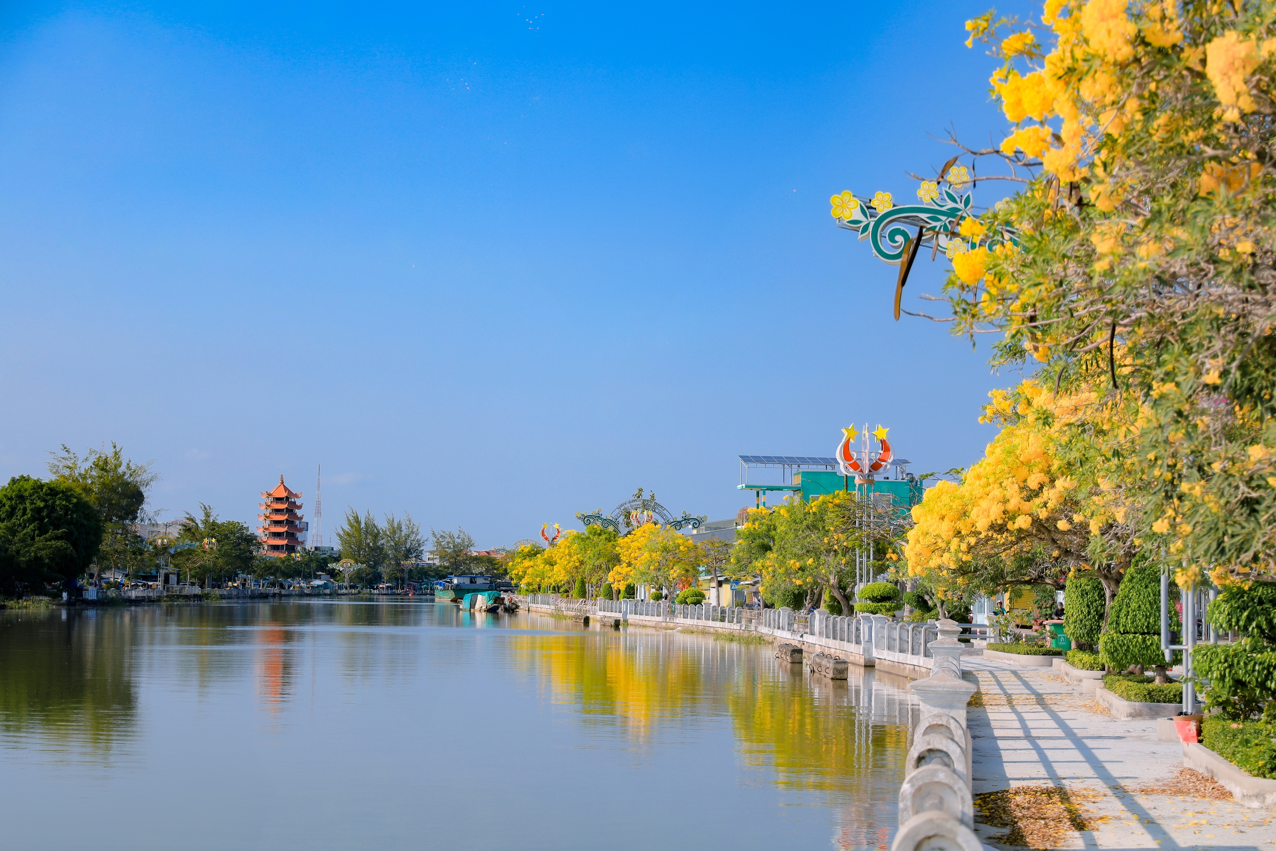 Đường hoa k&egrave;n v&agrave;ng rực rỡ b&ecirc;n d&ograve;ng Long B&igrave;nh thu h&uacute;t bạn trẻ check in - Ảnh 2.