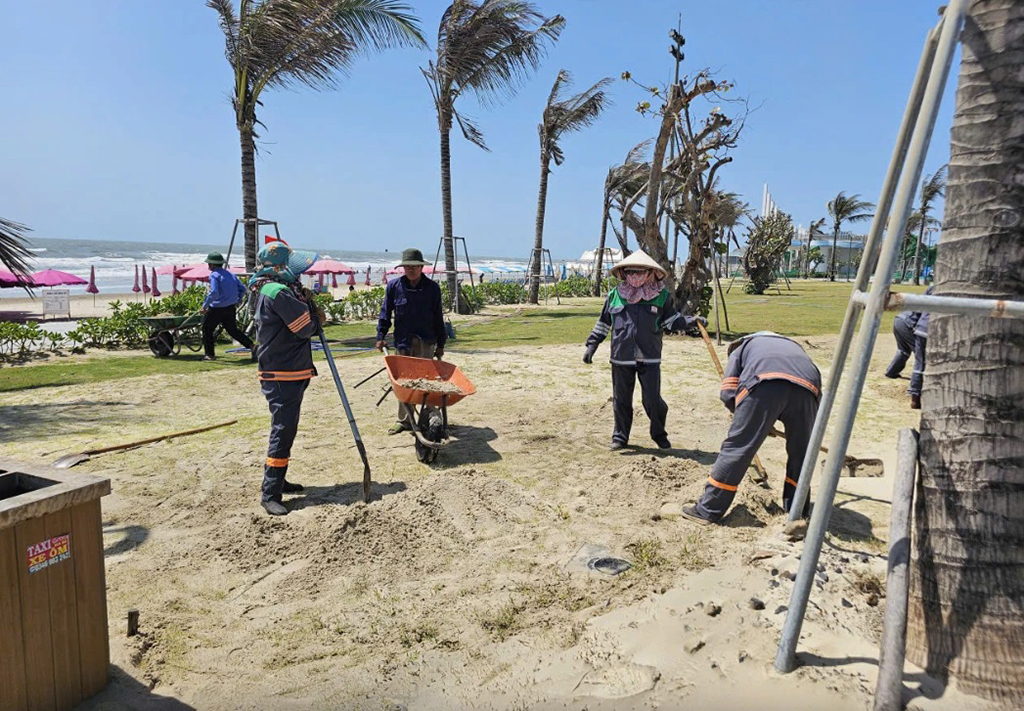 Công viên Bãi Sau Vũng Tàu: Nỗi Lo Cát Bay và Giải Pháp Khắc Phục