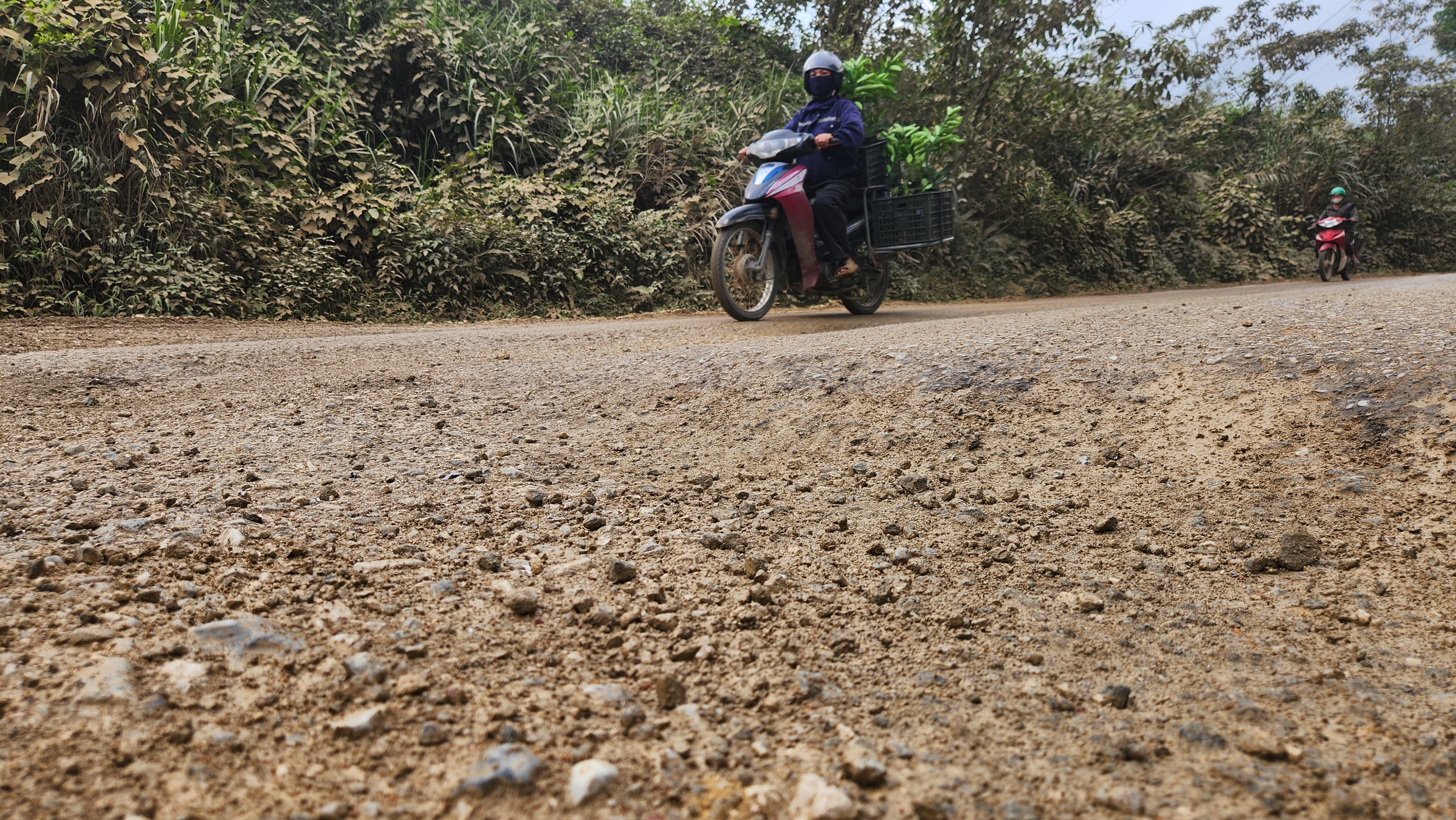 H&agrave;ng loạt 'bẫy' ổ voi, ổ g&agrave; tr&ecirc;n quốc lộ 15 qua H&agrave; Tĩnh- Ảnh 6.