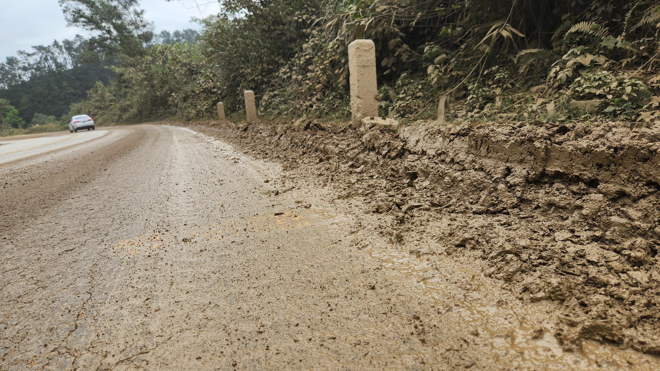 H&agrave;ng loạt 'bẫy' ổ voi, ổ g&agrave; tr&ecirc;n quốc lộ 15 qua H&agrave; Tĩnh- Ảnh 4.