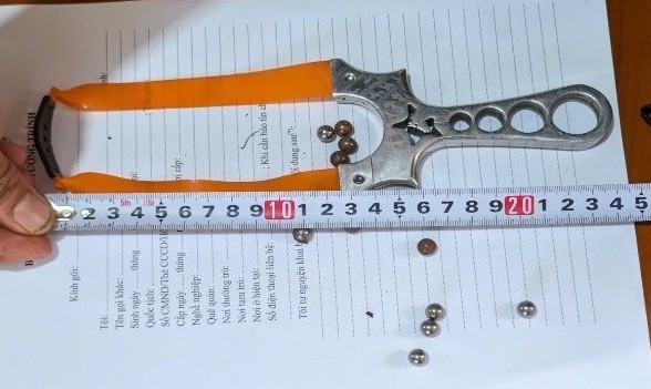 X&aacute;c định danh t&iacute;nh người bắn động vật v&agrave; h&agrave;nh hung ph&oacute;ng vi&ecirc;n tại Đ&agrave; Lạt- Ảnh 2.