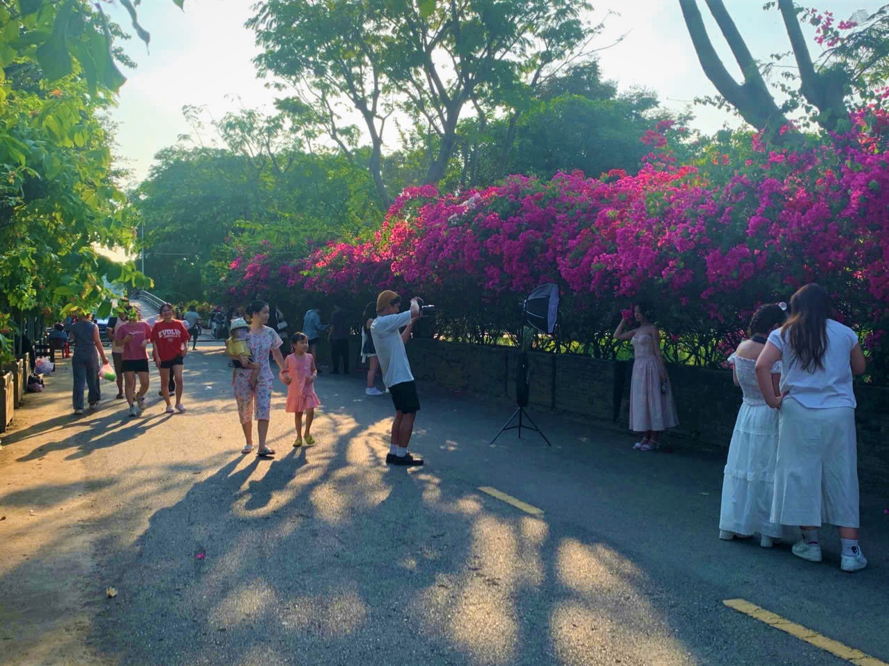 - Ảnh 4. - Ảnh 4.