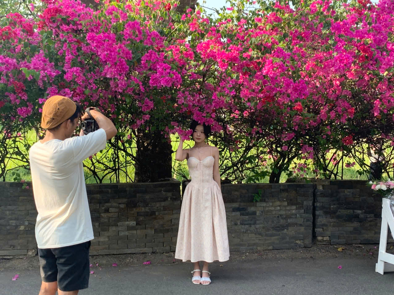 - Ảnh 2. - Ảnh 2.