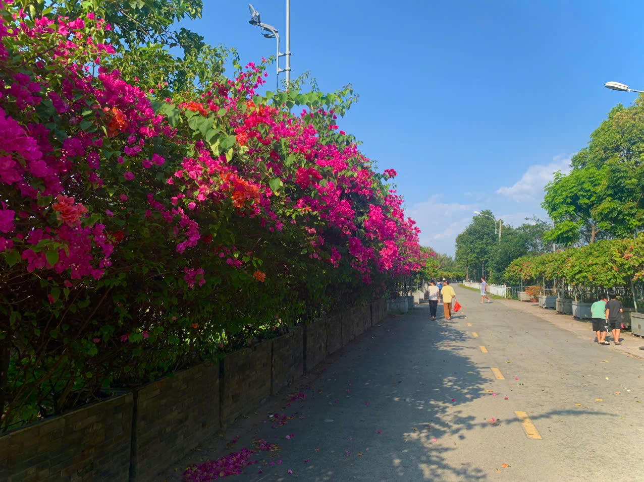 - Ảnh 6. - Ảnh 6.