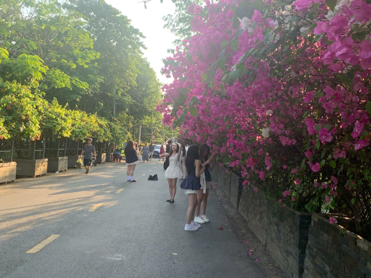 - Ảnh 1. - Ảnh 1.