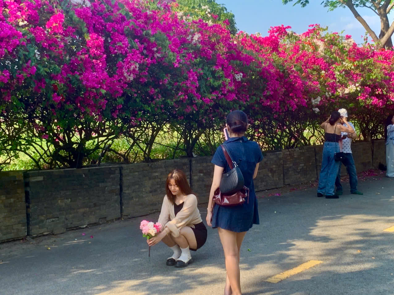 - Ảnh 5. - Ảnh 5.