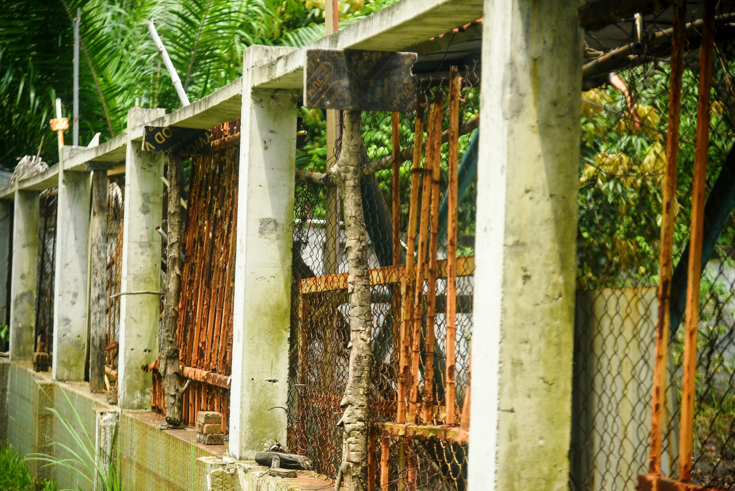 Khối tài sản 81 tỉ đồng của Huy 'máy nổ' sắp được đưa ra đấu giá- Ảnh 6. Khối tài sản 81 tỉ đồng của Huy 'máy nổ' sắp được đưa ra đấu giá- Ảnh 6.