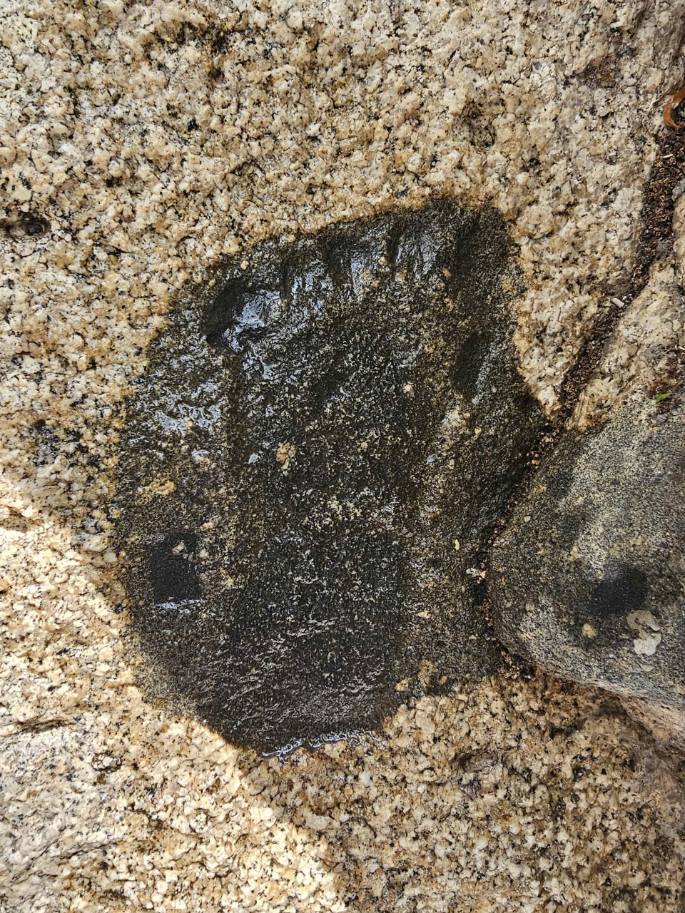 Long Điền xưa: Dấu ch&acirc;n in tr&ecirc;n n&uacute;i Ch&acirc;n Ti&ecirc;n c&oacute; từ bao giờ? - Ảnh 3.