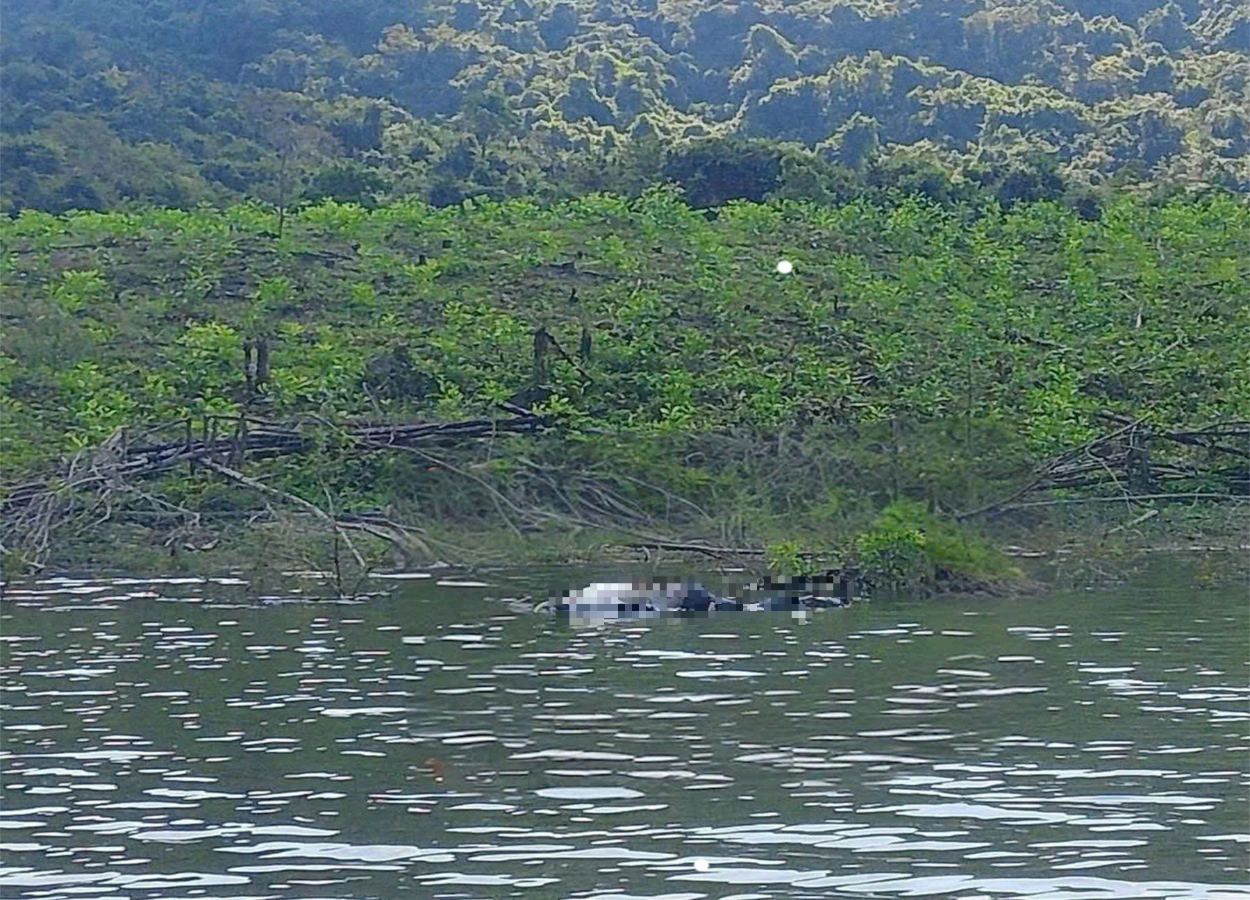 Phát hiện thi thể nam nổi trên hồ Đá Trải, công an vào cuộc - Ảnh 1.