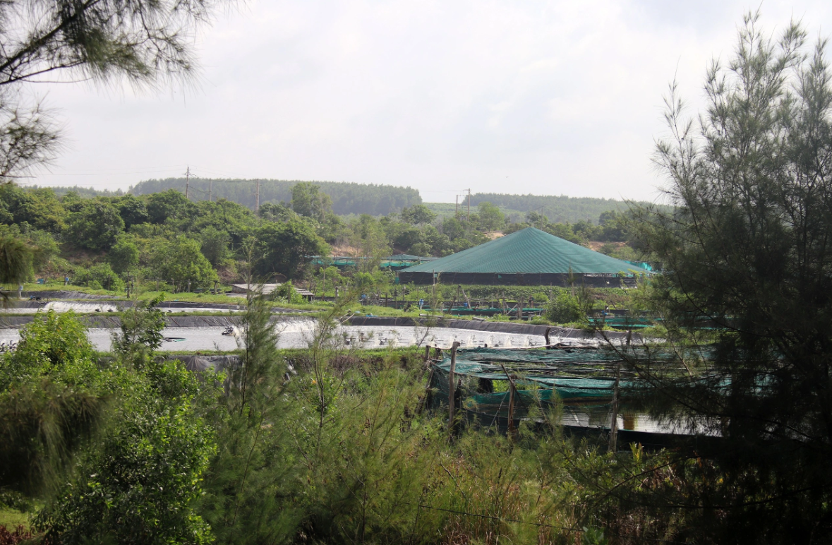 Gỡ nút thắt cơ chế để thúc đẩy 2 dự án điện khí LNG Sơn Mỹ- Ảnh 1.