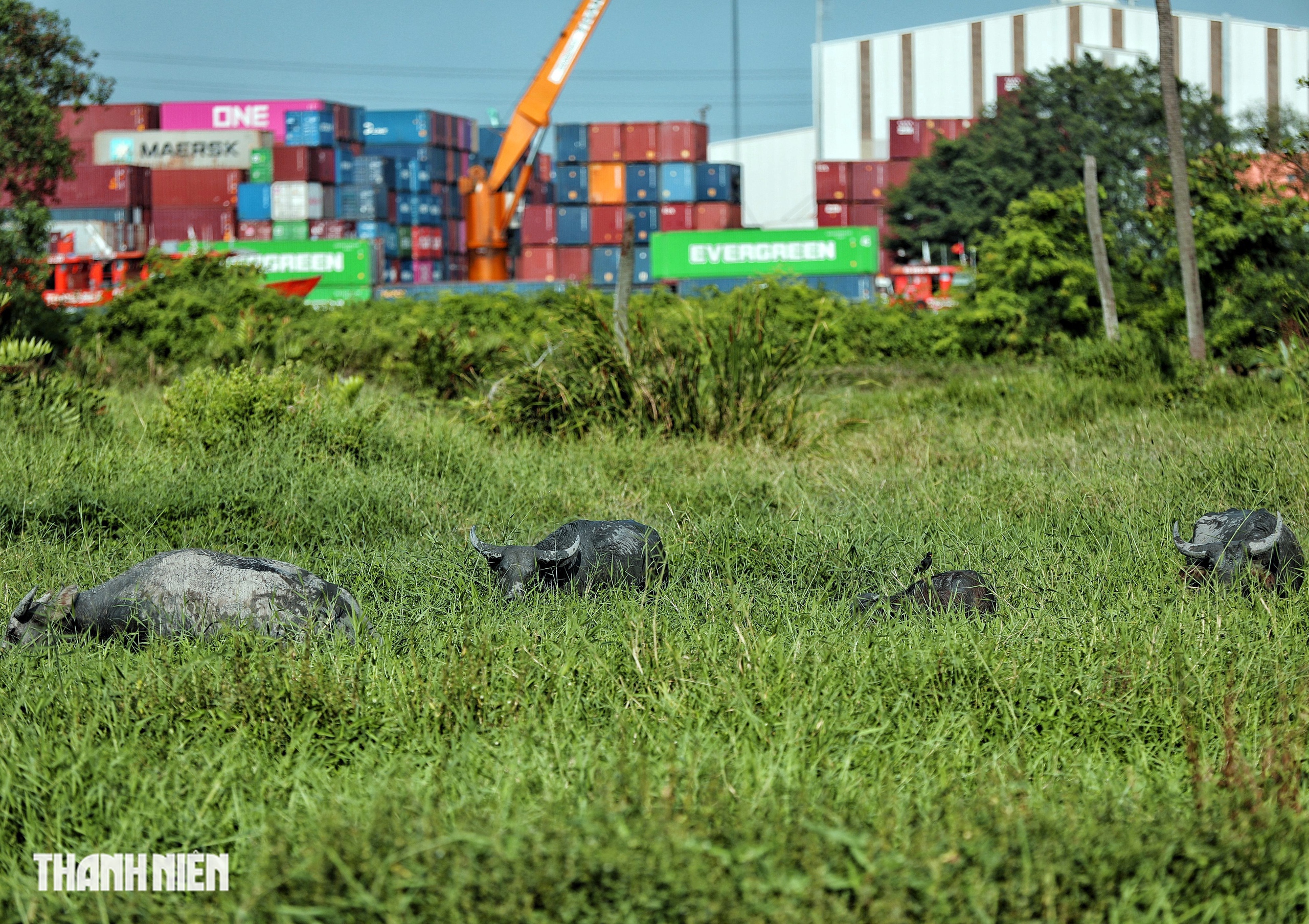 Hiện trạng 'si&ecirc;u dự &aacute;n' B&igrave;nh Quới - Thanh Đa sau hơn 30  năm - Ảnh 14.