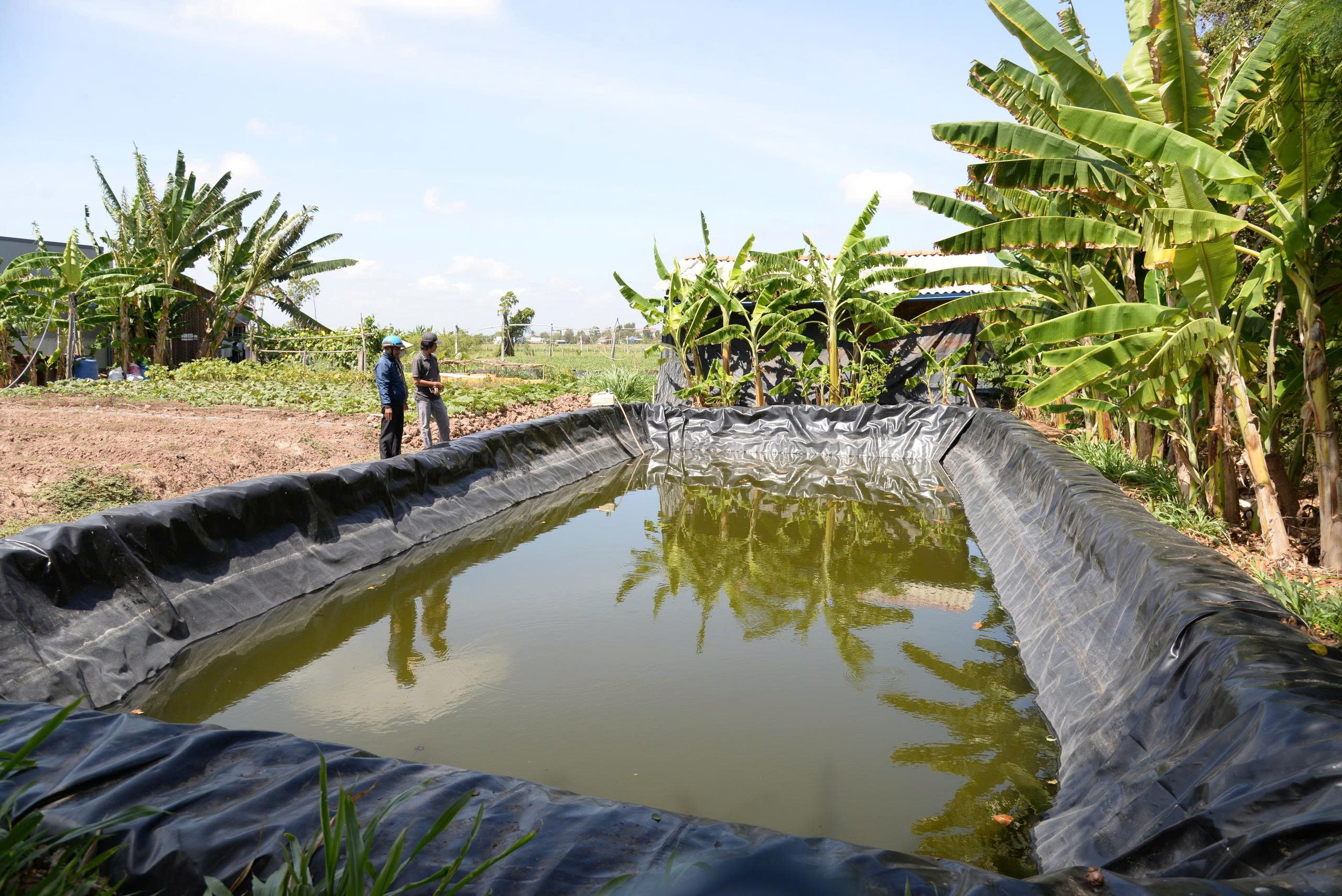 Đồng Tháp mở nhiều điểm cấp nước đối phó với xâm nhập mặn - Ảnh 2.