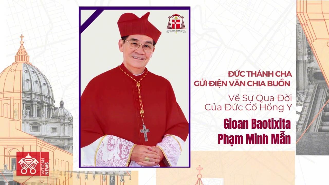 Giáo hoàng Leo XIV chia buồn Đức Hồng y Gioan Baotixita Phạm Minh Mẫn qua đời- Ảnh 1.