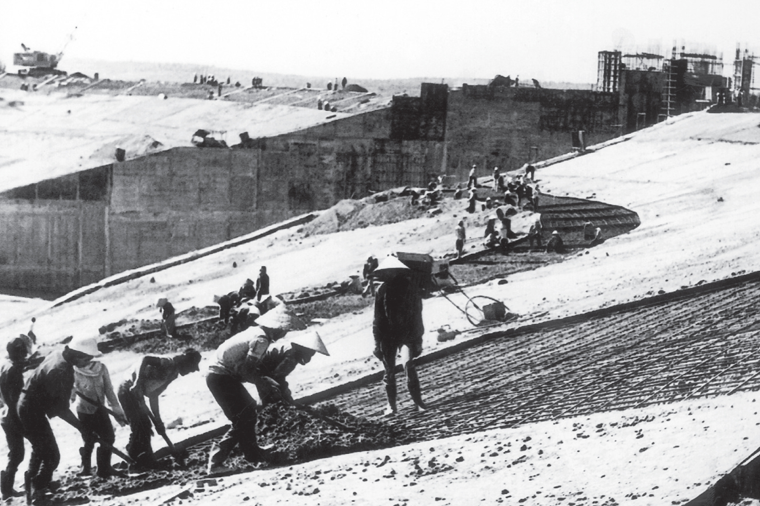 50 năm Thanh niên xung phong TP.HCM - Dấu ấn của lực lượng đặc thù - Ảnh 3.