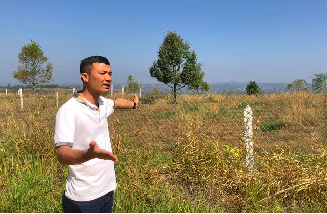 Vụ tựchặt c&acirc;y c&agrave; ph&ecirc;: Viện kiểm s&aacute;t r&uacute;t kinh nghiệm do thiếu chứng cứ kết tội- Ảnh 1.