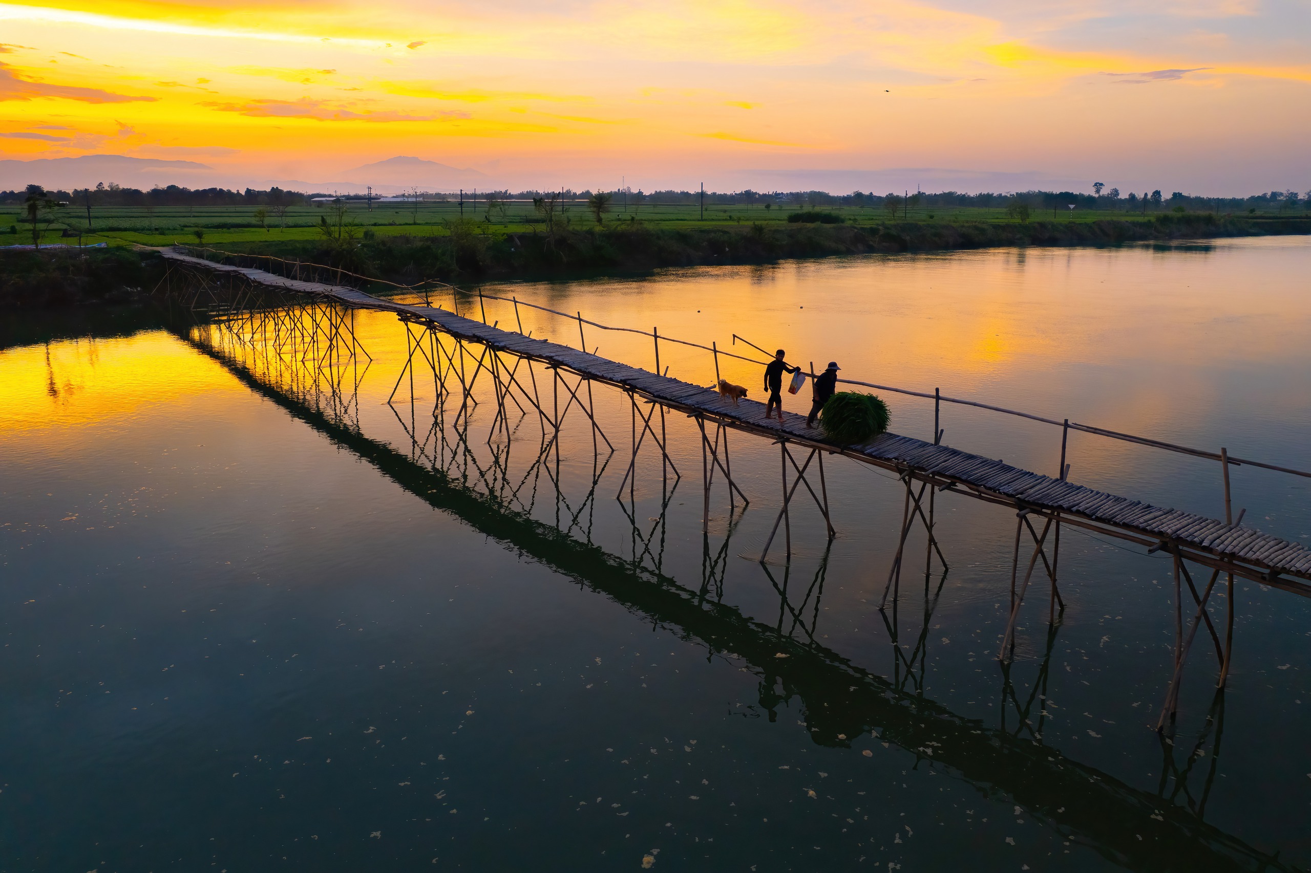 Khoảnh khắc b&igrave;nh y&ecirc;n nơi c&acirc;y cầu tre độc đ&aacute;o ở Đ&agrave; Nẵng - Ảnh 4.