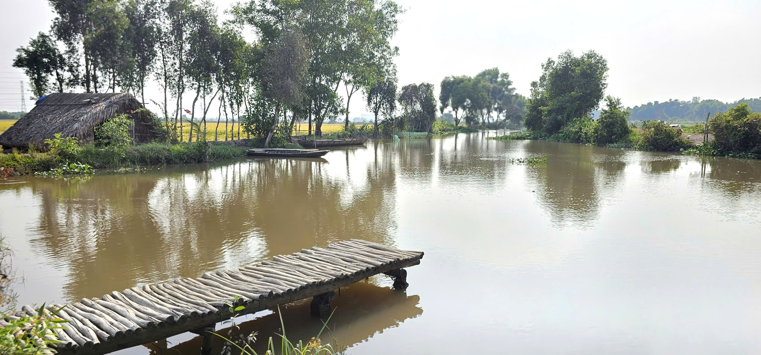 Ngôi nhà giữa đồng lúa và chuyện tình xúc động của bà Lan ở TP . HCM - Ảnh 6. Ngôi nhà giữa đồng lúa và chuyện tình xúc động của bà Lan ở TP . HCM - Ảnh 6.