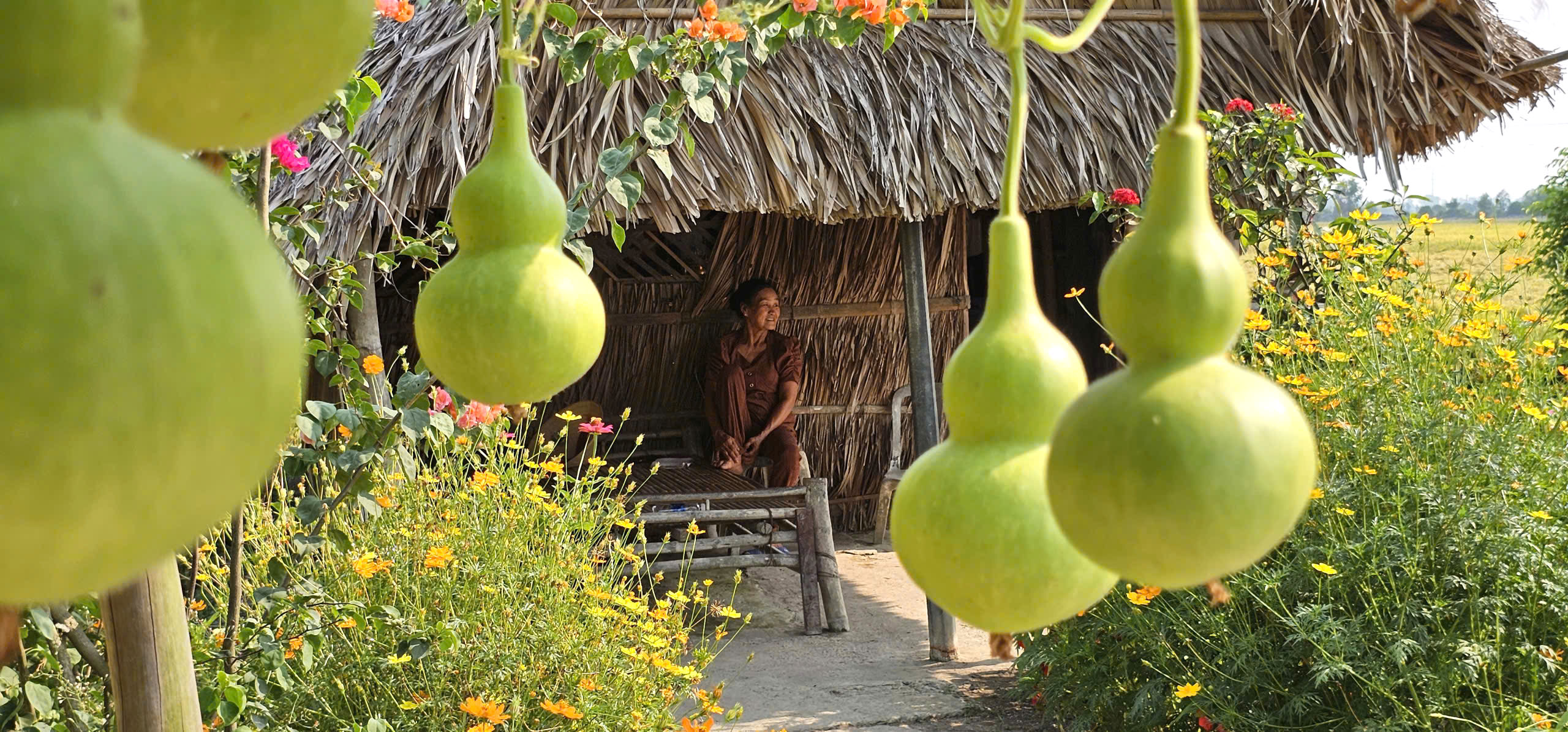 Ngôi nhà giữa đồng lúa và chuyện tình xúc động của bà Lan ở TP . HCM - Ảnh 9. Ngôi nhà giữa đồng lúa và chuyện tình xúc động của bà Lan ở TP . HCM - Ảnh 9.