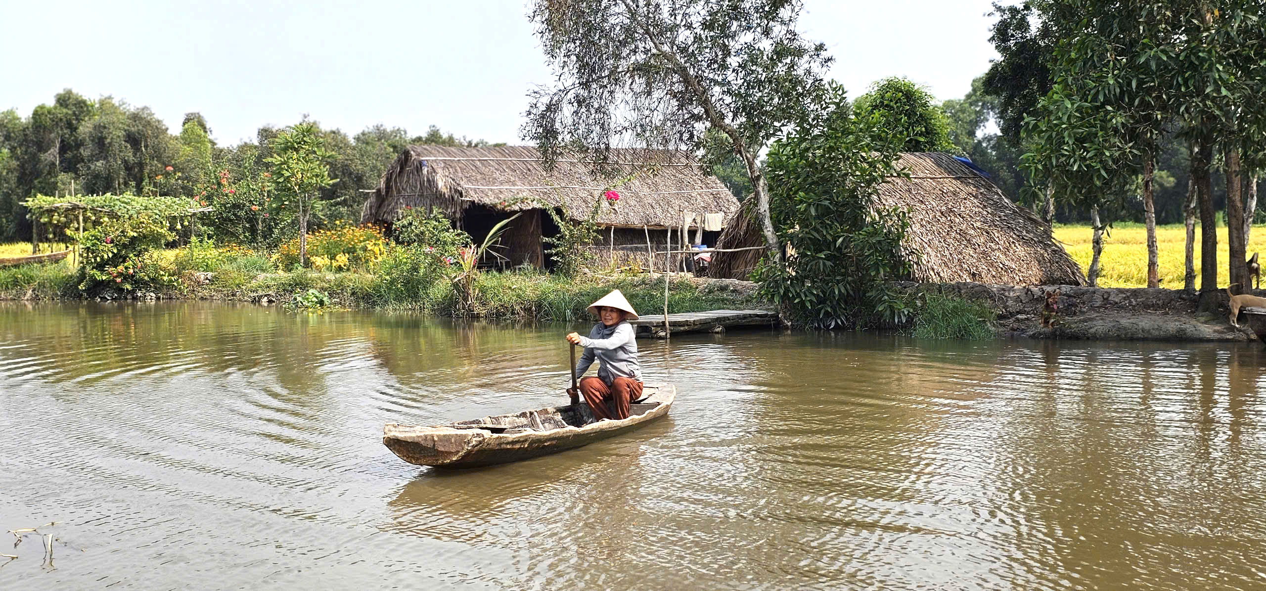 Ngôi nhà giữa đồng lúa và chuyện tình xúc động của bà Lan ở TP . HCM - Ảnh 3. Ngôi nhà giữa đồng lúa và chuyện tình xúc động của bà Lan ở TP . HCM - Ảnh 3.
