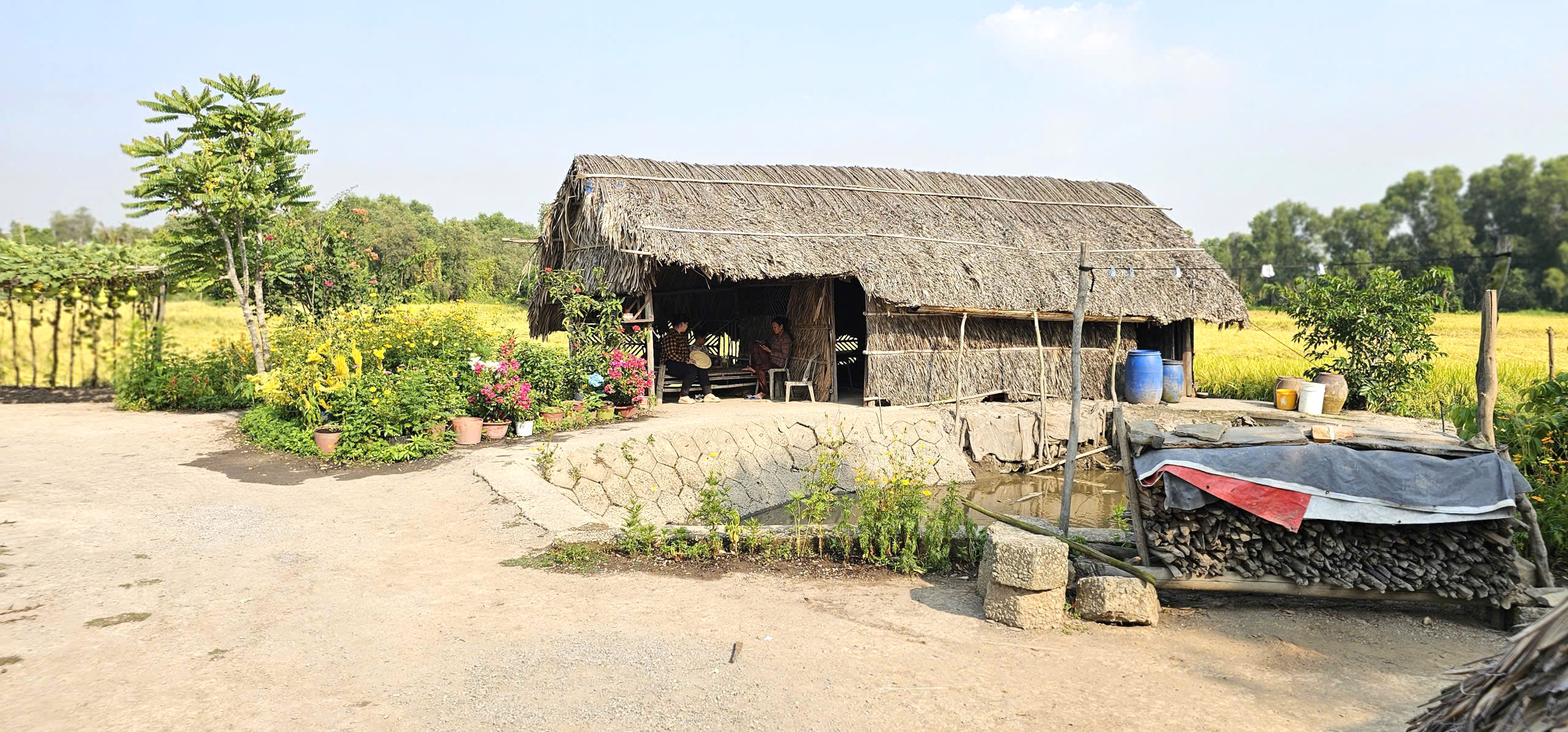 Ngôi nhà giữa đồng lúa và chuyện tình xúc động của bà Lan ở TP . HCM - Ảnh 4. Ngôi nhà giữa đồng lúa và chuyện tình xúc động của bà Lan ở TP . HCM - Ảnh 4.