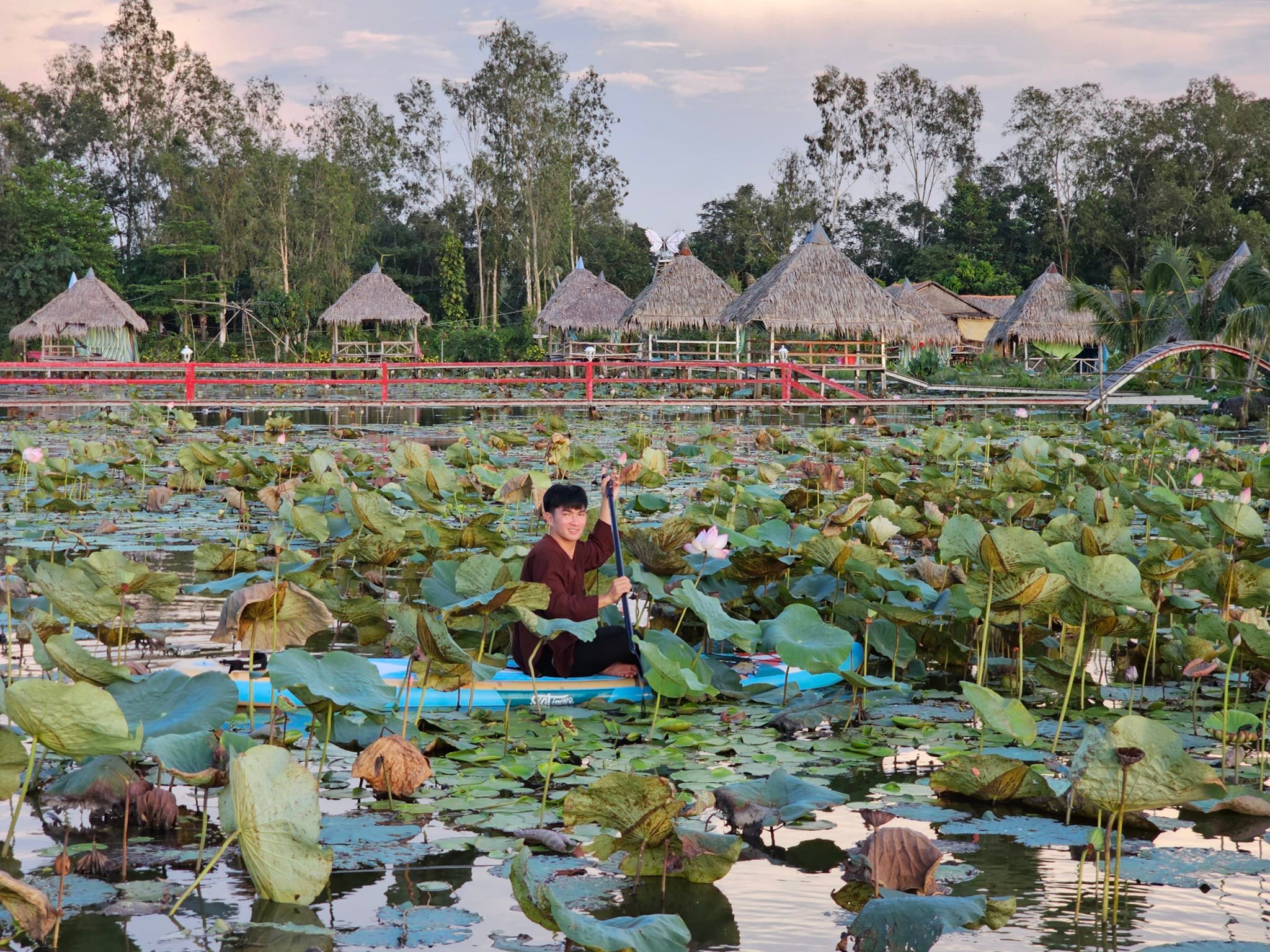 Ch&agrave;ng trai 'thổi hồn' v&agrave;o đồng sen, biến vẻ đẹp qu&ecirc; th&agrave;nh điểm du lịch độc đ&aacute;o - Ảnh 3.