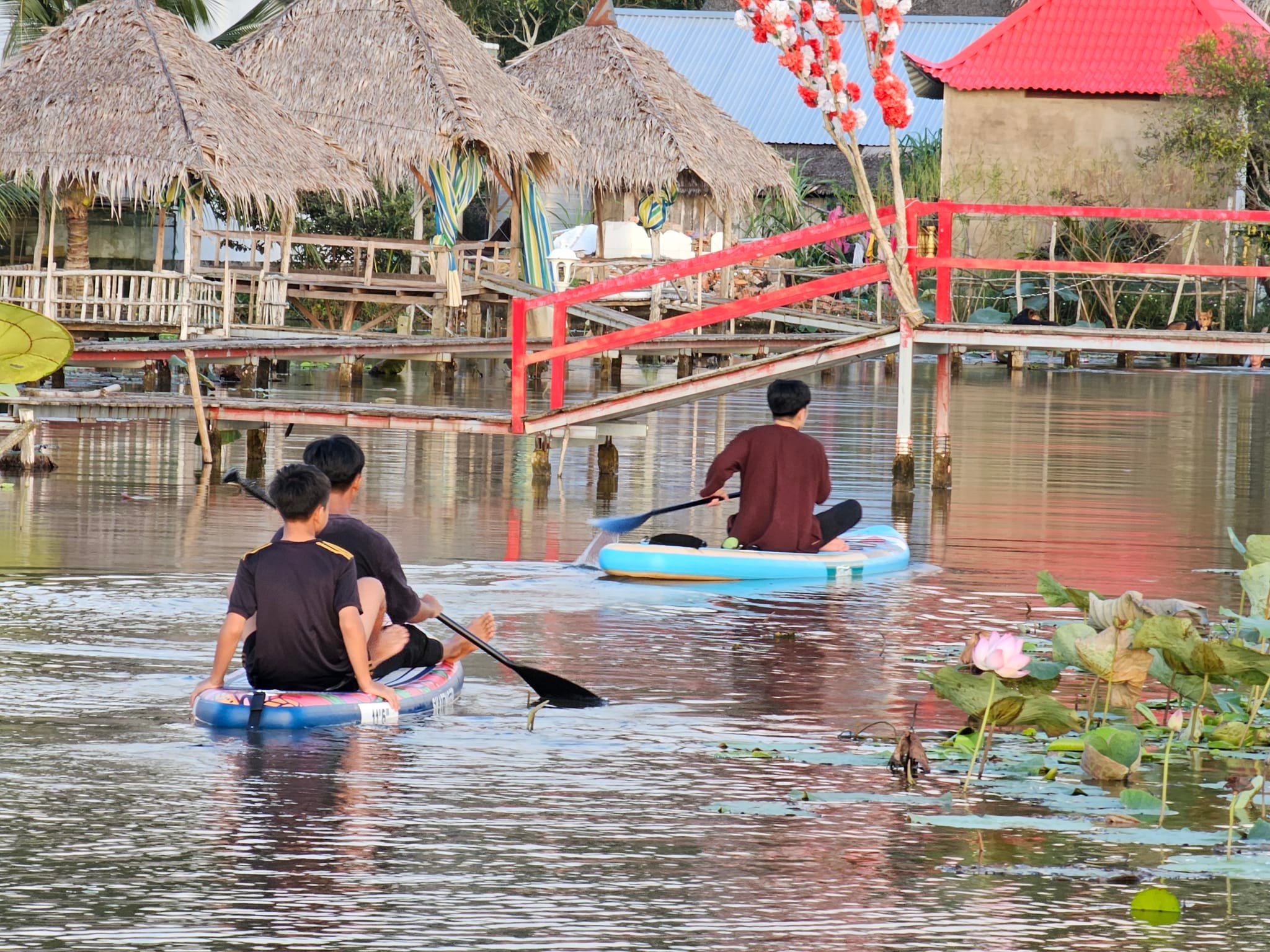 Ch&agrave;ng trai 'thổi hồn' v&agrave;o đồng sen, biến vẻ đẹp qu&ecirc; th&agrave;nh điểm du lịch độc đ&aacute;o - Ảnh 8.