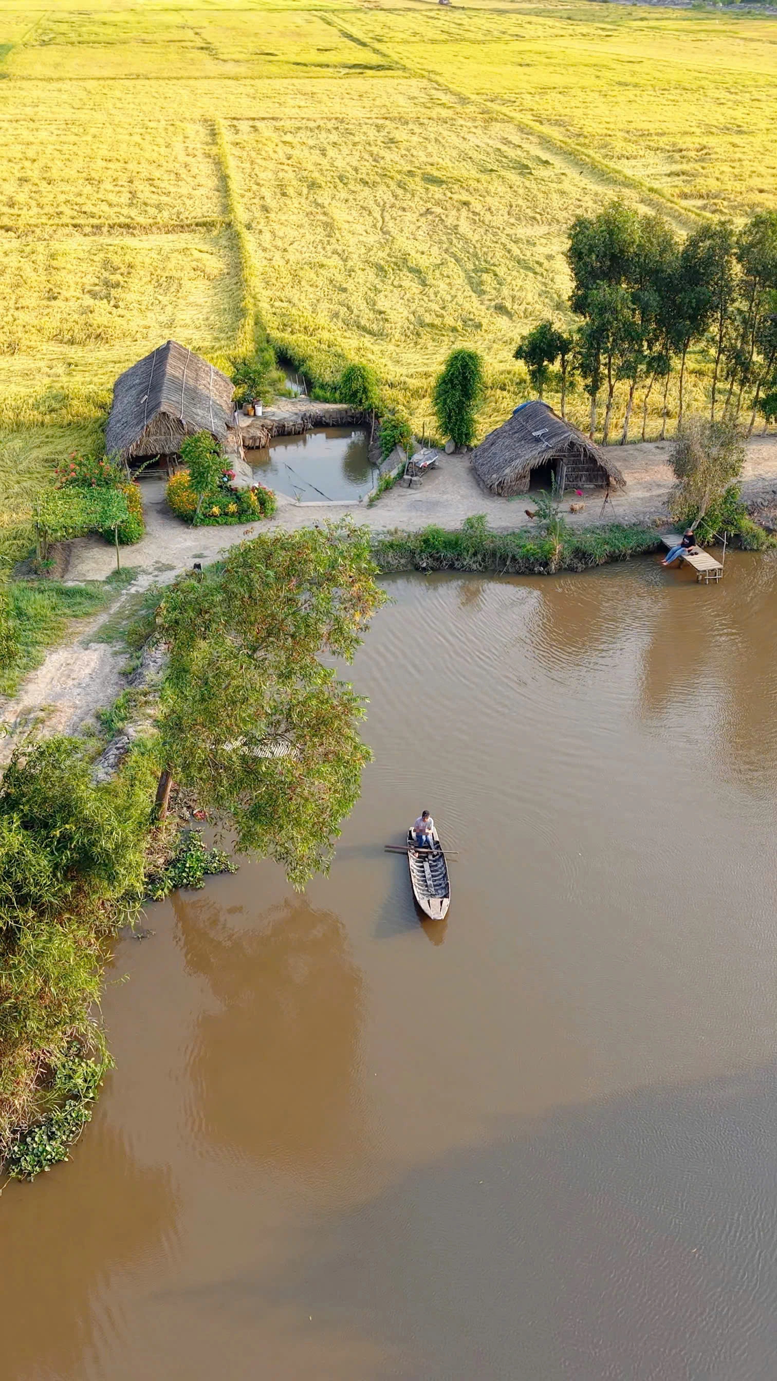 Ngôi nhà giữa đồng lúa và chuyện tình xúc động của bà Lan ở TP . HCM - Ảnh 1. Ngôi nhà giữa đồng lúa và chuyện tình xúc động của bà Lan ở TP . HCM - Ảnh 1.