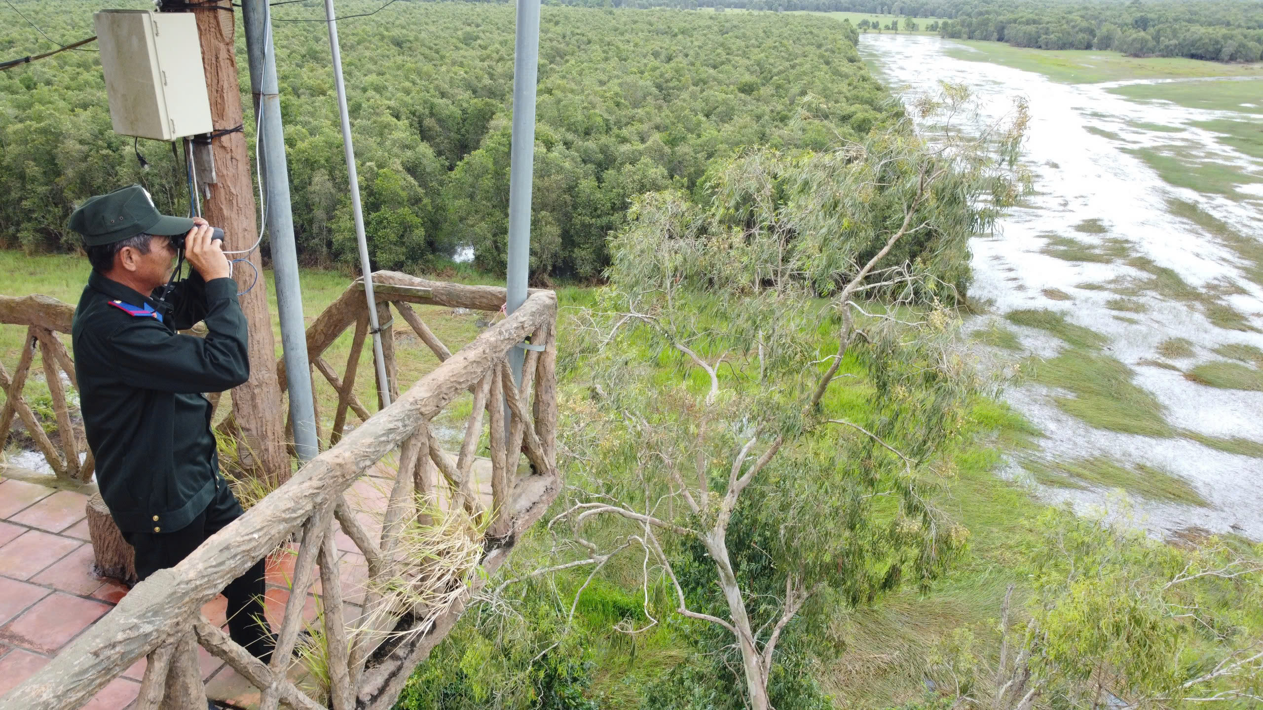 Người g&aacute;c rừng ở Tr&agrave;m Chim v&agrave; cơn mơ về b&oacute;ng sếu- Ảnh 3.