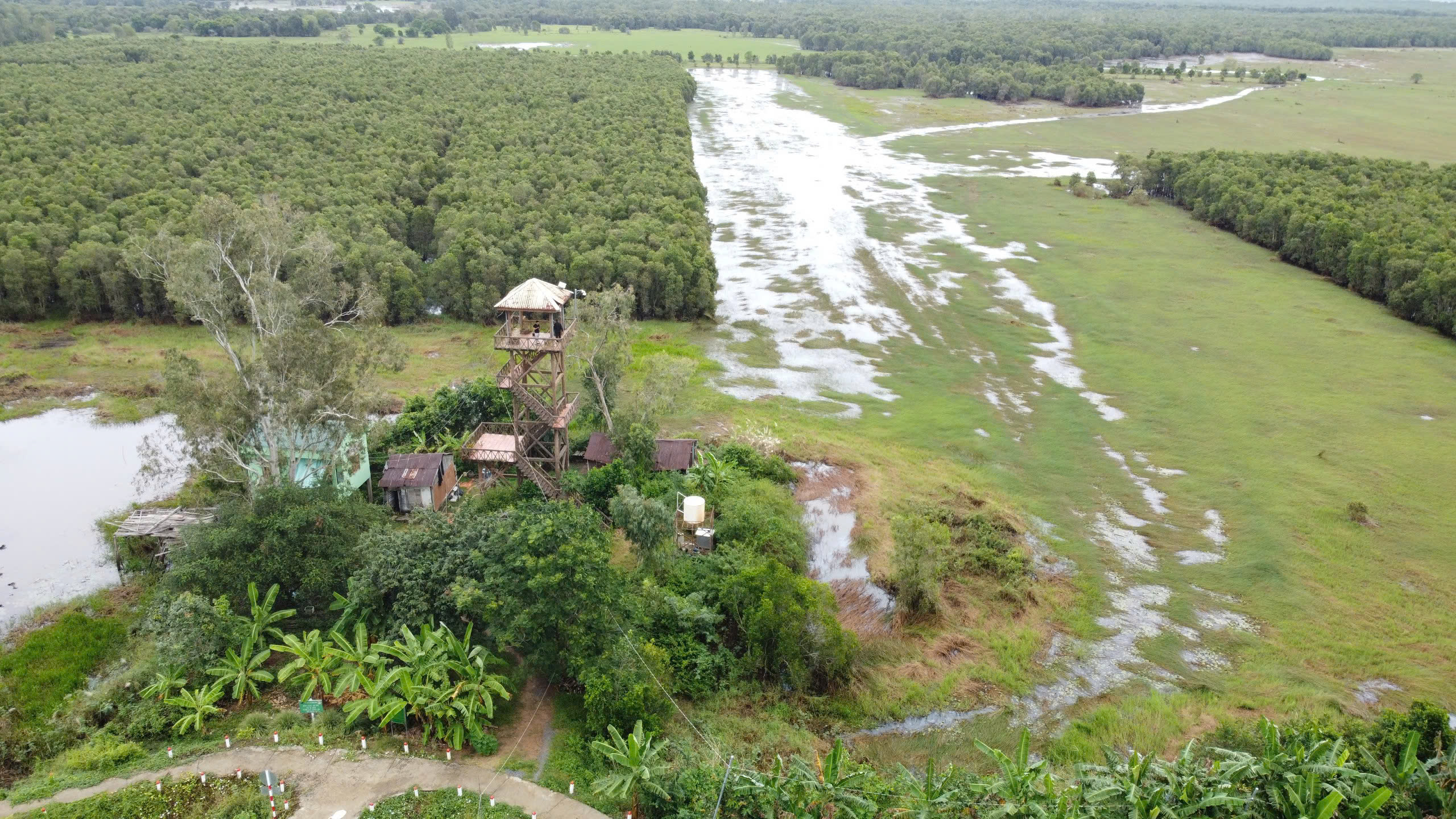 Người g&aacute;c rừng ở Tr&agrave;m Chim v&agrave; cơn mơ về b&oacute;ng sếu- Ảnh 2.