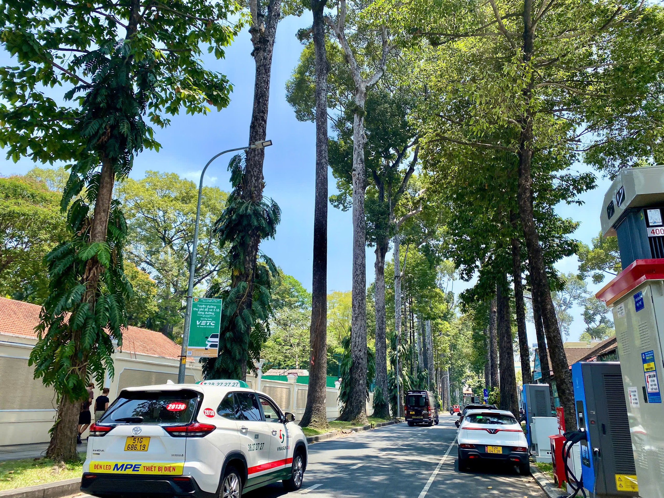 Những tuyến đường m&aacute;t rượi giữa nắng n&oacute;ng ở TP . HCM gi&uacute;p giới trẻ thư gi&atilde;n - Ảnh 7.