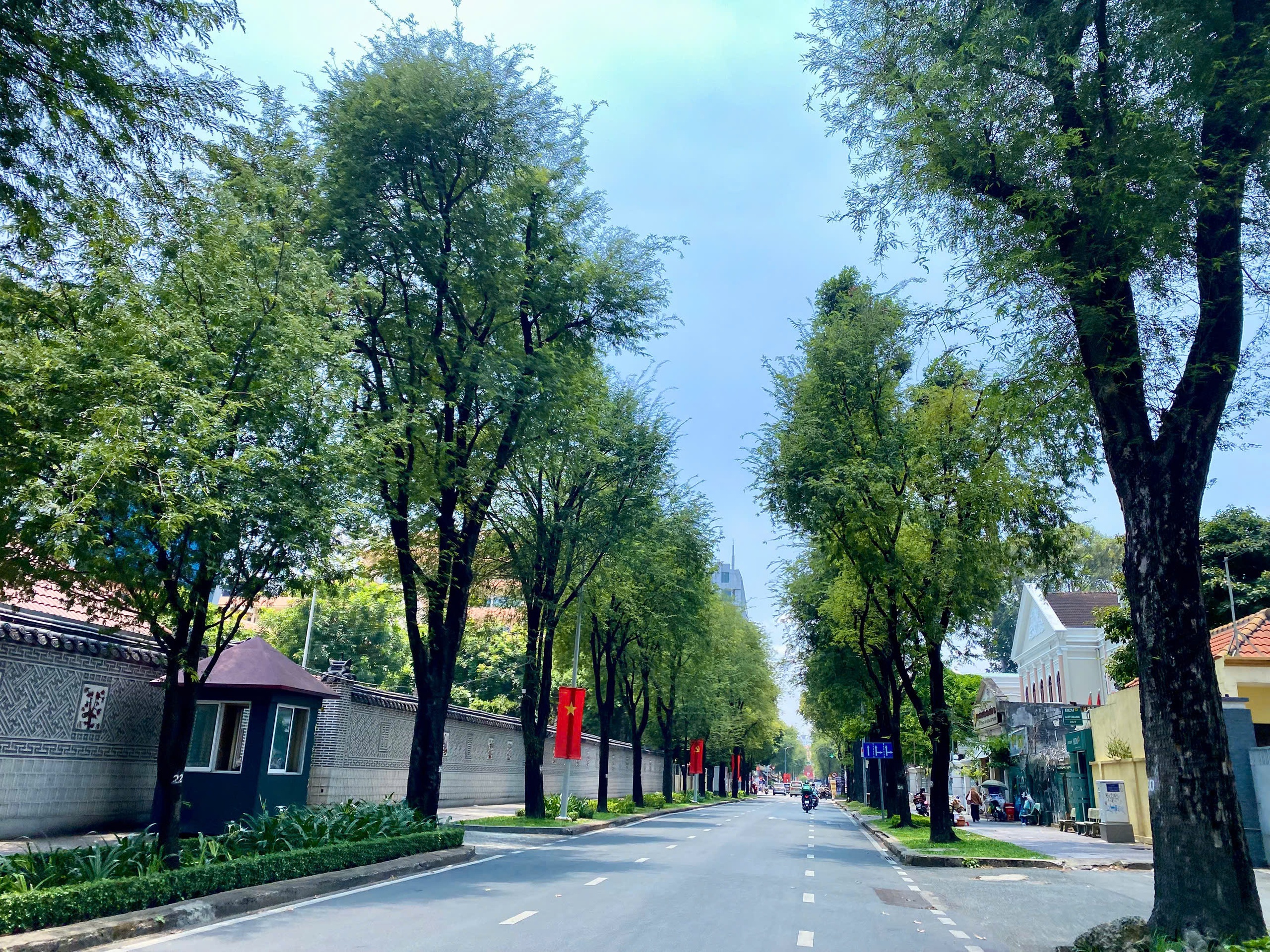 Những tuyến đường m&aacute;t rượi giữa nắng n&oacute;ng ở TP . HCM gi&uacute;p giới trẻ thư gi&atilde;n - Ảnh 8.