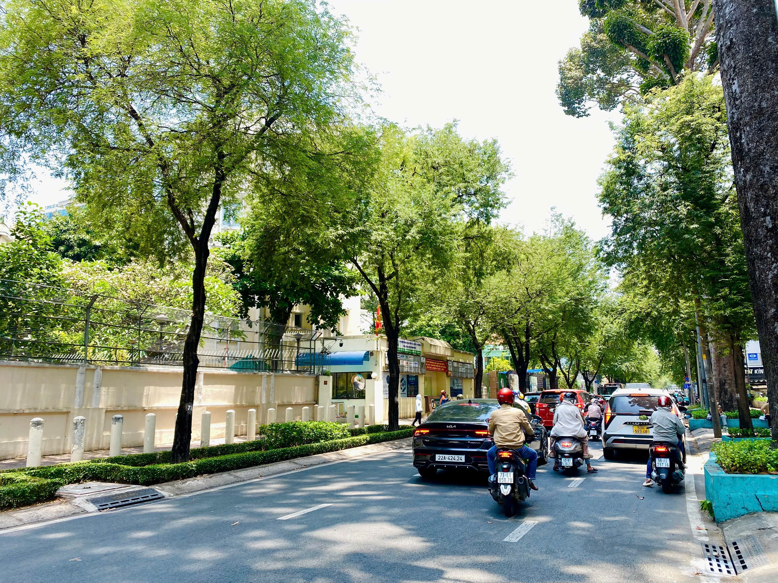 Những tuyến đường m&aacute;t rượi giữa nắng n&oacute;ng ở TP . HCM gi&uacute;p giới trẻ thư gi&atilde;n - Ảnh 5.