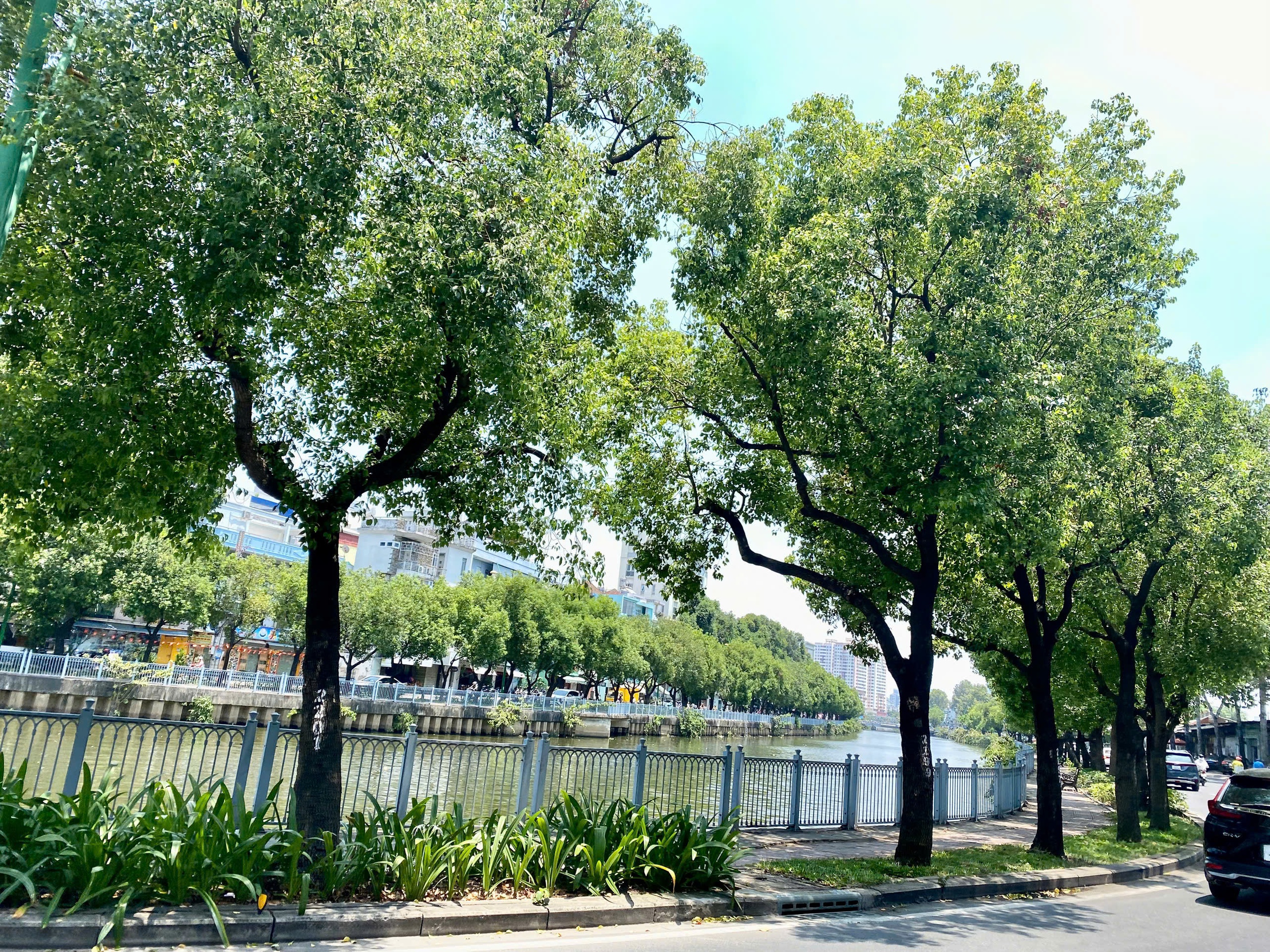 Những tuyến đường m&aacute;t rượi giữa nắng n&oacute;ng ở TP . HCM gi&uacute;p giới trẻ thư gi&atilde;n - Ảnh 3.