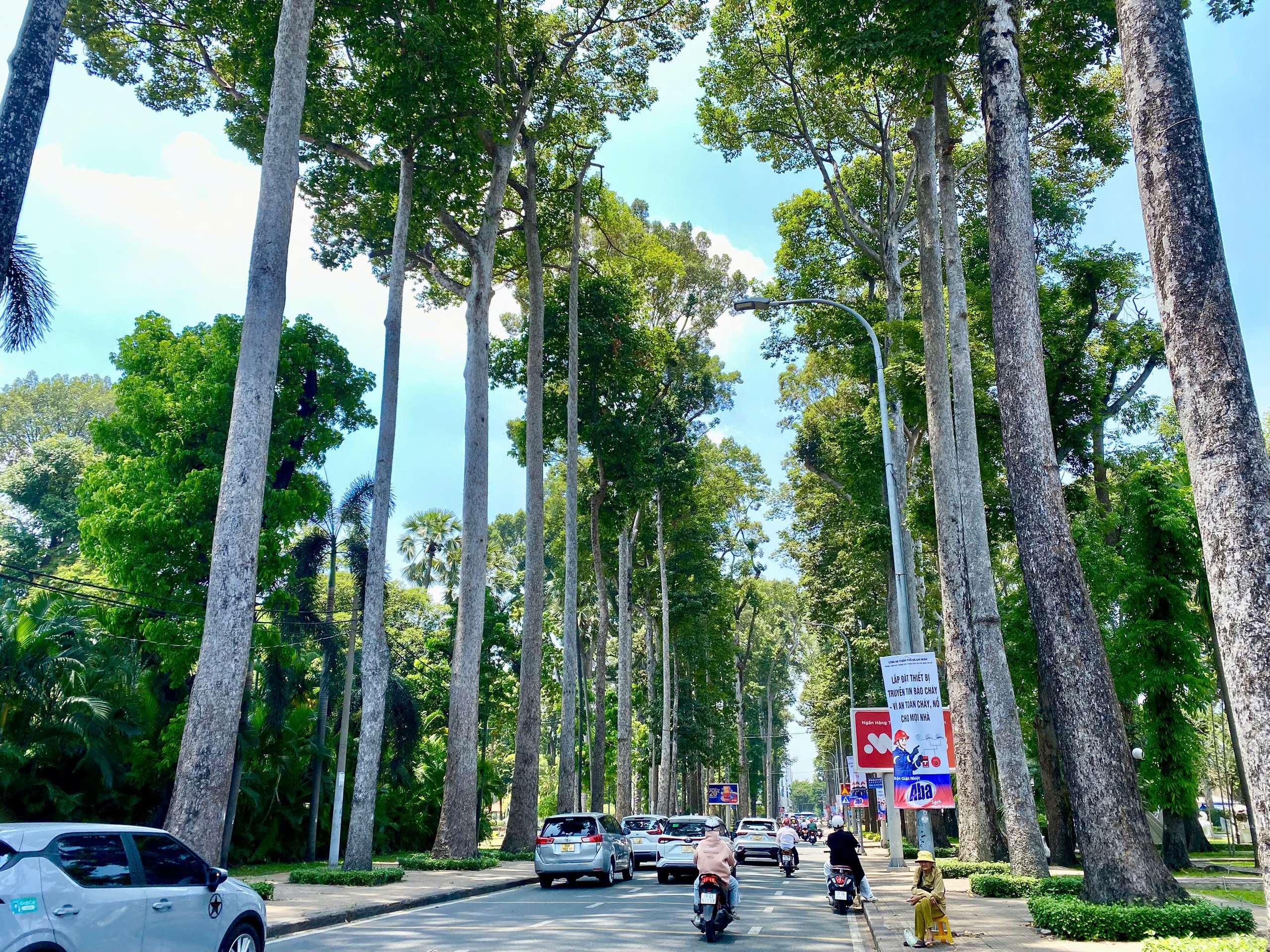 Những tuyến đường m&aacute;t rượi giữa nắng n&oacute;ng ở TP . HCM gi&uacute;p giới trẻ thư gi&atilde;n - Ảnh 6.