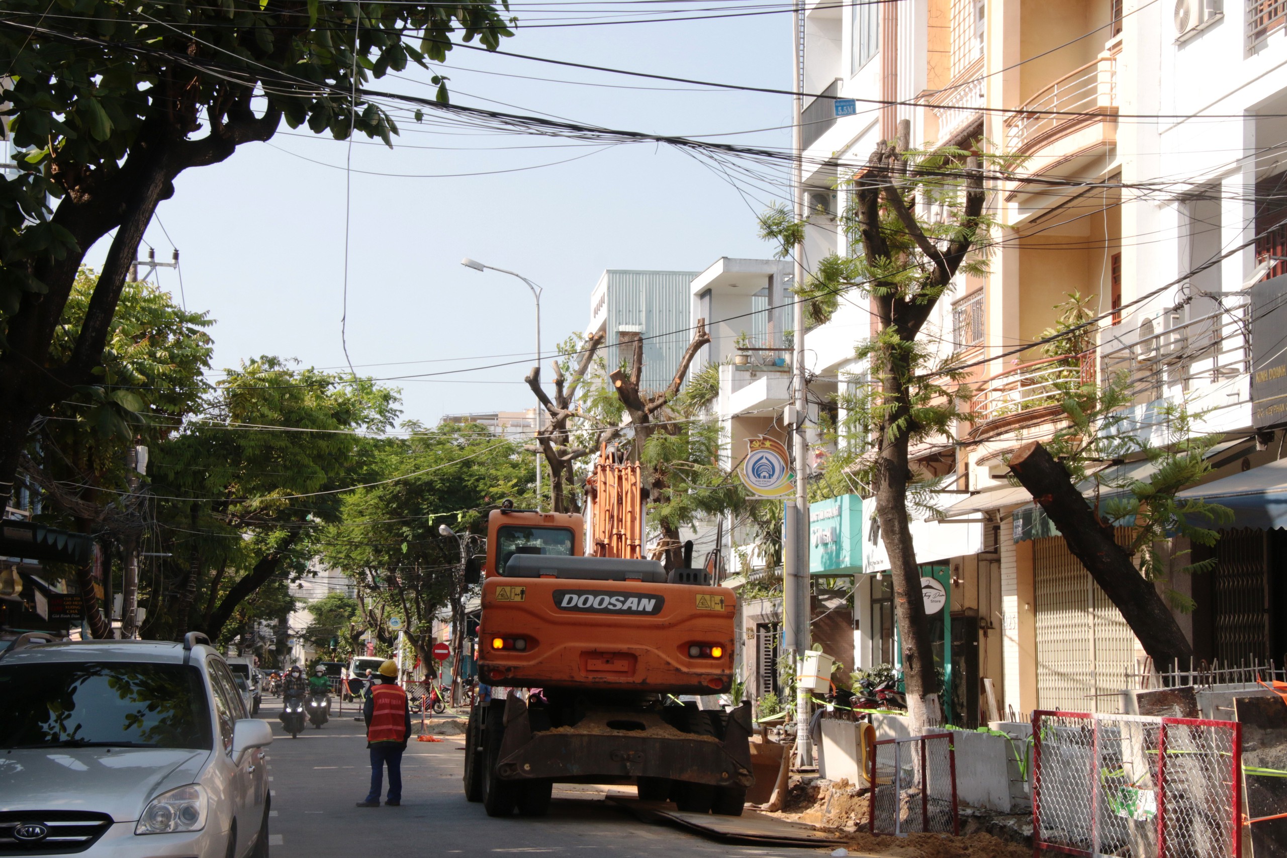 H&agrave;ng loạt c&acirc;y xanh ở trung t&acirc;m Đ&agrave; Nẵng bị cưa trụi đầu m&ugrave;a nắng n&oacute;ng- Ảnh 5.