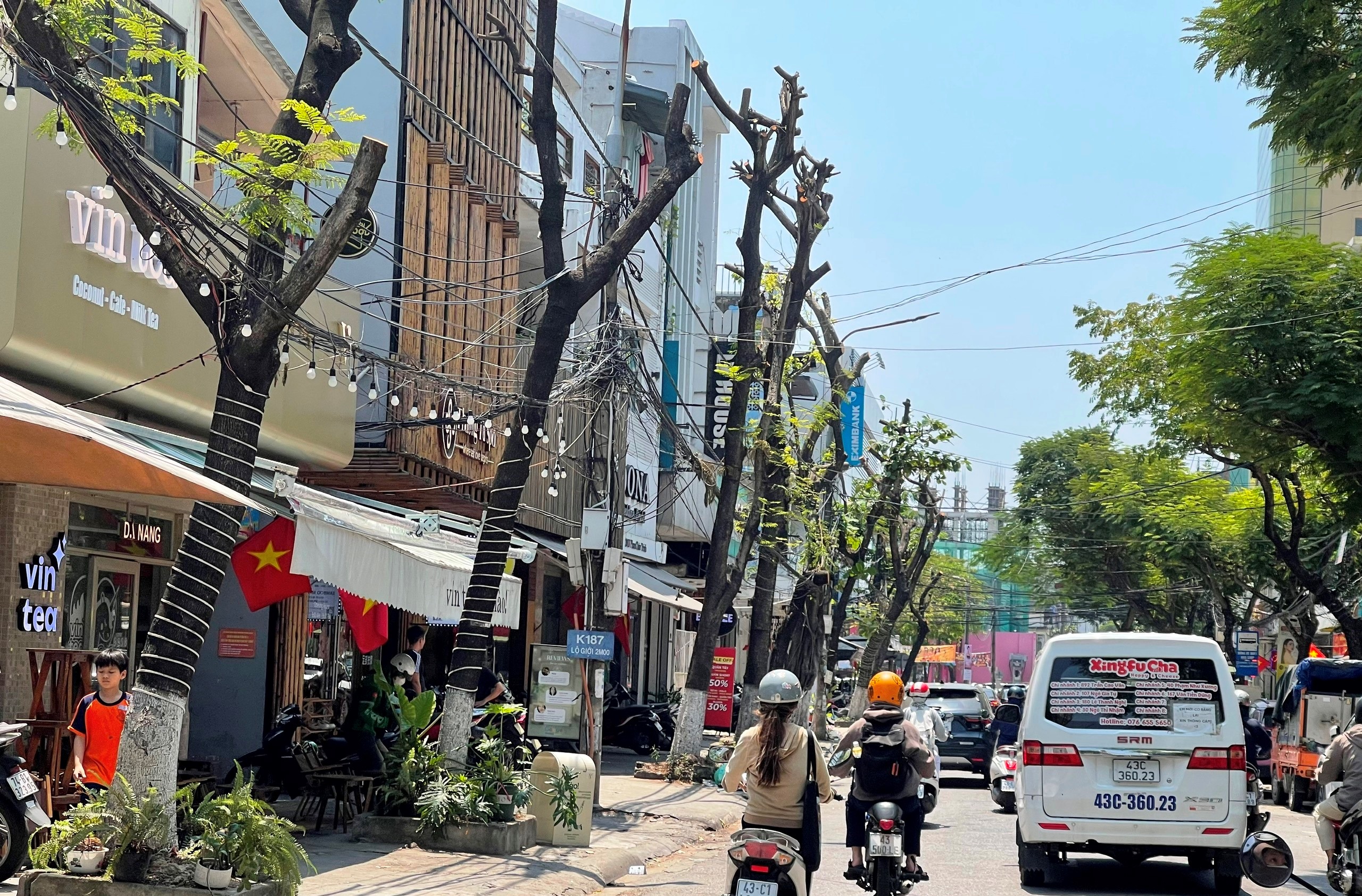 H&agrave;ng loạt c&acirc;y xanh ở trung t&acirc;m Đ&agrave; Nẵng bị cưa trụi đầu m&ugrave;a nắng n&oacute;ng- Ảnh 1.