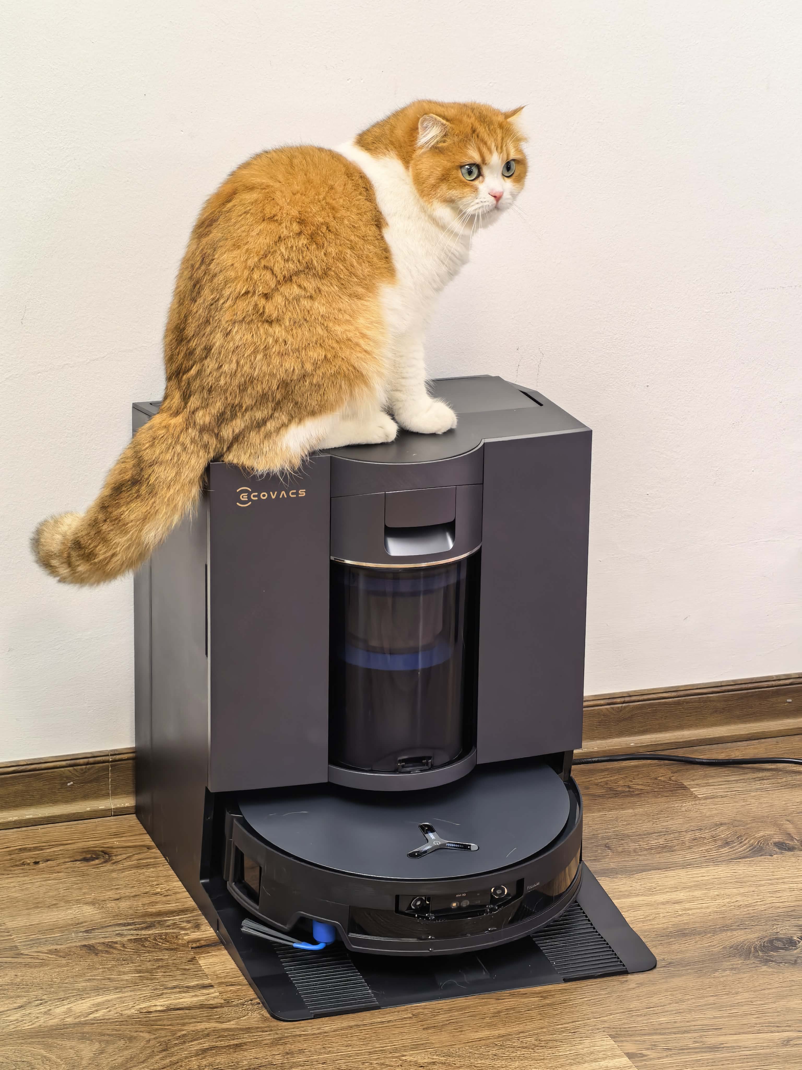 Trải nghiệm Deebot X12 OmniCyclone - robot đầu tiên dùng vòi phun làm mềm vết bẩn - Ảnh 9. Trải nghiệm Deebot X12 OmniCyclone - robot đầu tiên dùng vòi phun làm mềm vết bẩn - Ảnh 9.