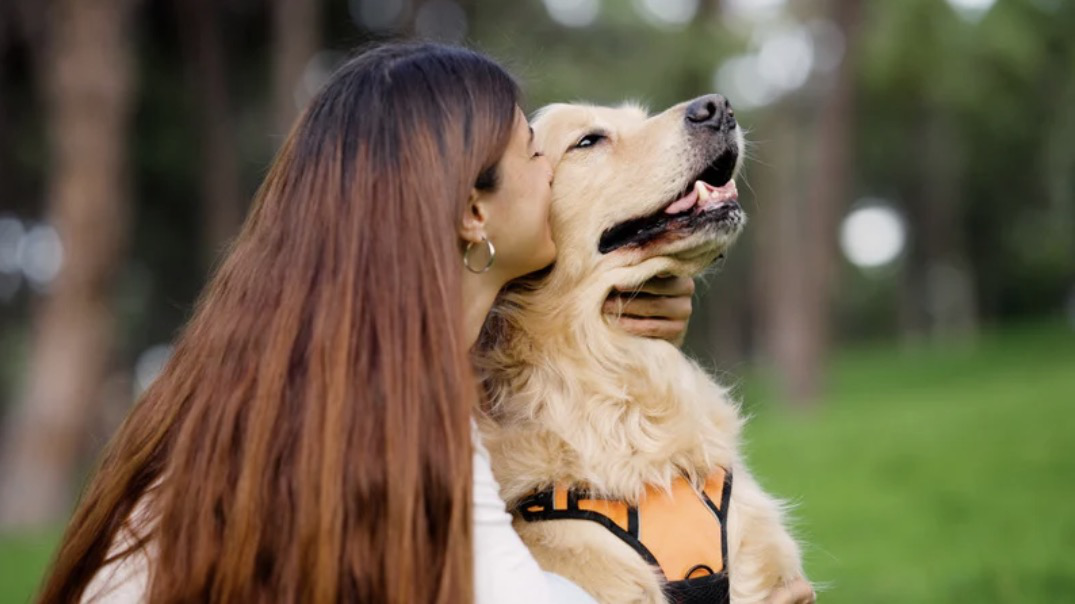 H&ocirc;n th&uacute; cưng: Th&oacute;i quen y&ecirc;u thương hay nguy cơ tiềm ẩn? - Ảnh 1.