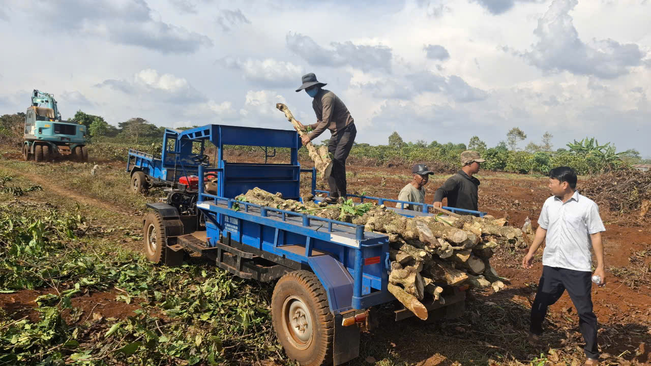 Đẩy nhanh tiến độ giải phóng mặt bằng dự án cao tốc Quy Nhơn - Pleiku - Ảnh 1.