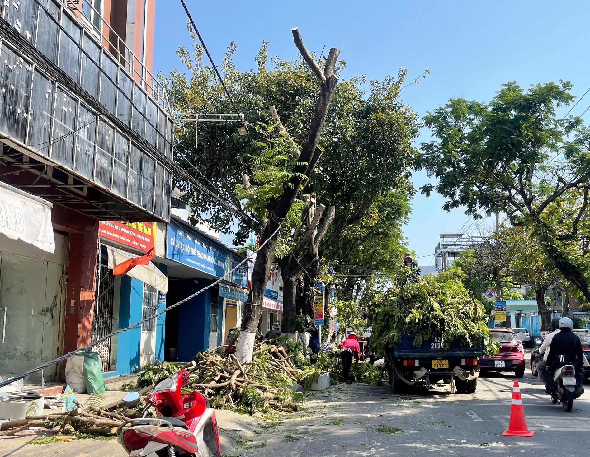 H&agrave;ng loạt c&acirc;y xanh ở trung t&acirc;m Đ&agrave; Nẵng bị cưa trụi đầu m&ugrave;a nắng n&oacute;ng- Ảnh 4.