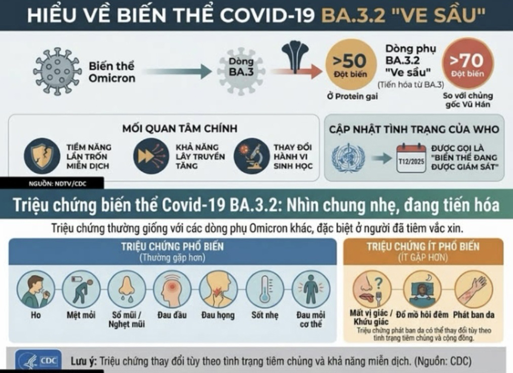 Theo dõi biến thể SARS-CoV-2 BA.3.2 - Ảnh 1.