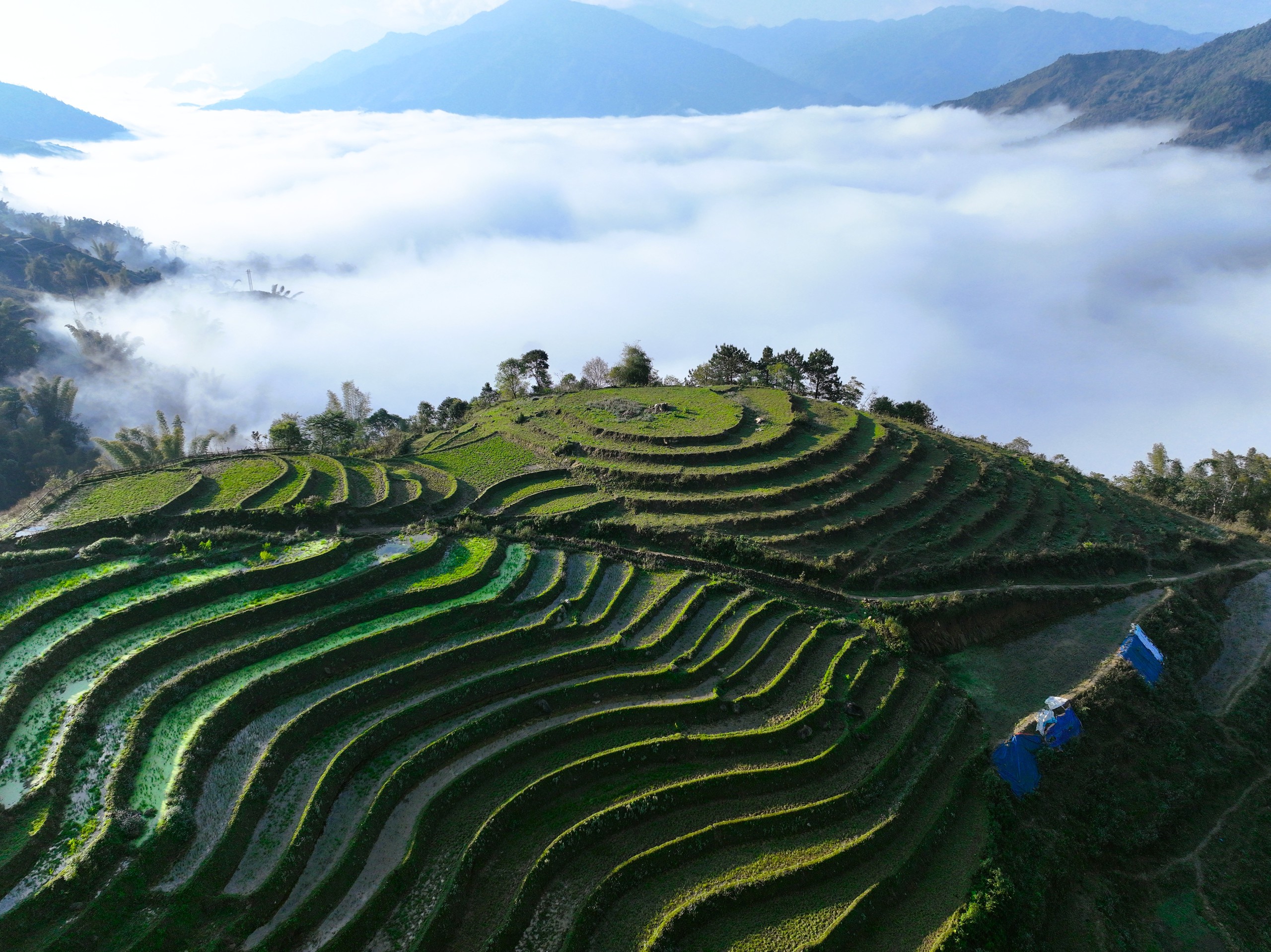 Xứ sở hoa đào Lùng Cúng ở Lào Cai mong mỏi một con đường- Ảnh 2. Xứ sở hoa đào Lùng Cúng ở Lào Cai mong mỏi một con đường- Ảnh 2.