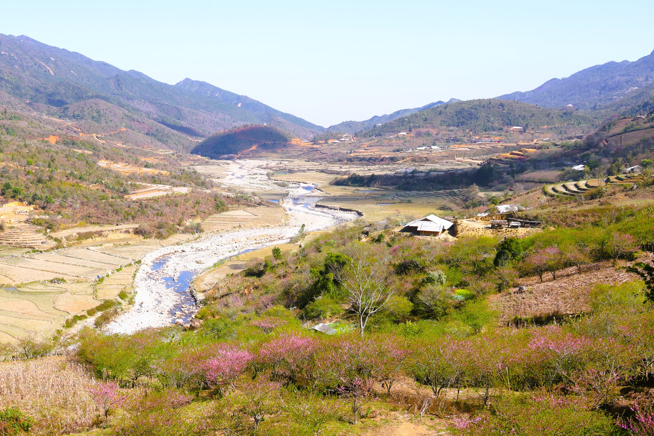 Xứ sở hoa đào Lùng Cúng ở Lào Cai mong mỏi một con đường- Ảnh 1. Xứ sở hoa đào Lùng Cúng ở Lào Cai mong mỏi một con đường- Ảnh 1.