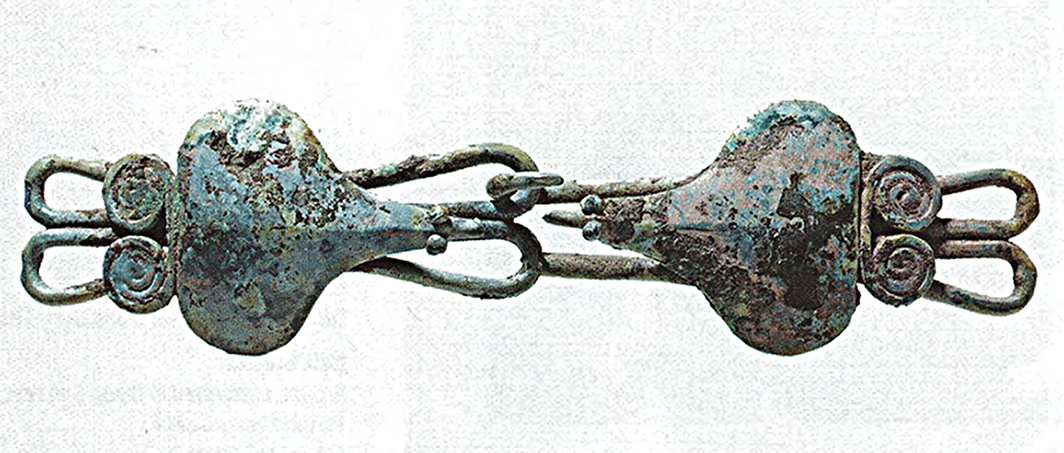 Giải mã hình tượng cóc trên mặt trống đồng Đông Sơn- Ảnh 3. Giải mã hình tượng cóc trên mặt trống đồng Đông Sơn- Ảnh 3.