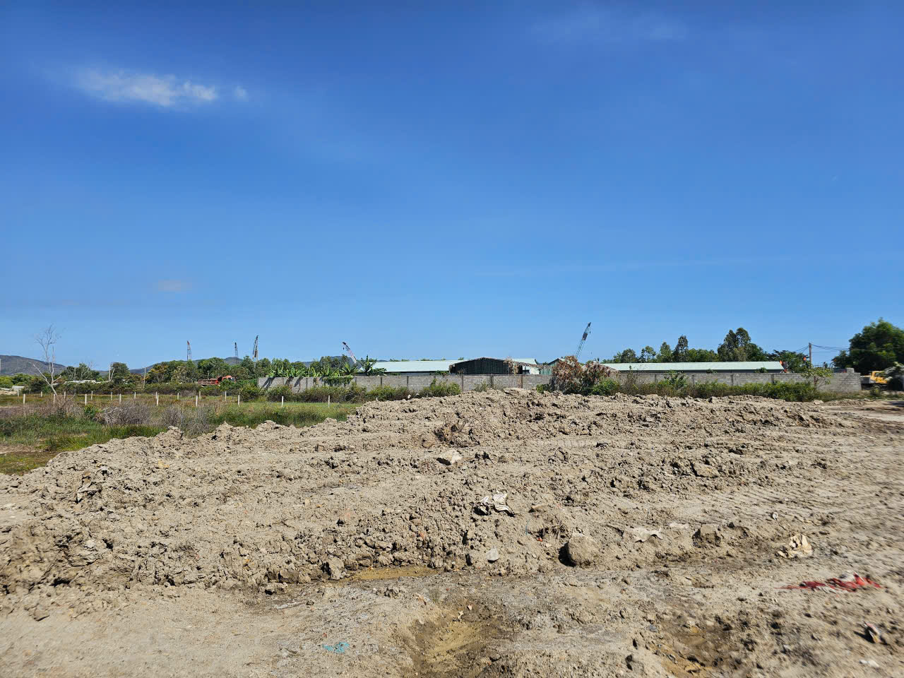 - Ảnh 5. - Ảnh 5.