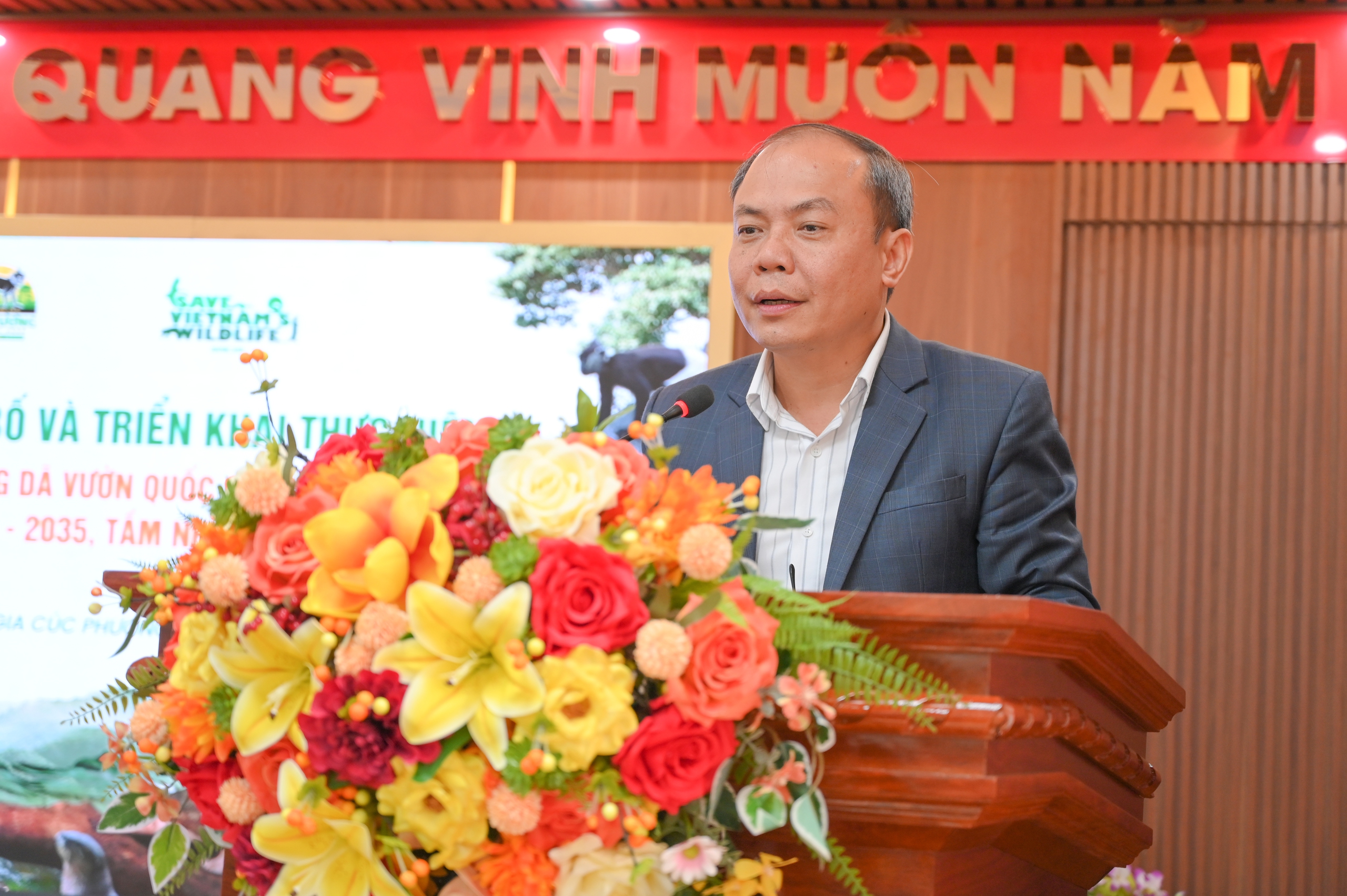 Mùa bướm, đom đóm ở Cúc Phương đến sớm: Tín hiệu gì từ rừng già? - Ảnh 1.