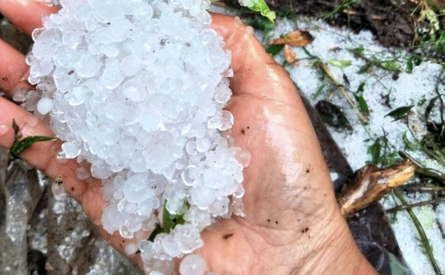 Dự báo thời tiết 30.3: Hà Nội có mưa giông, đề phòng mưa đá- Ảnh 1.