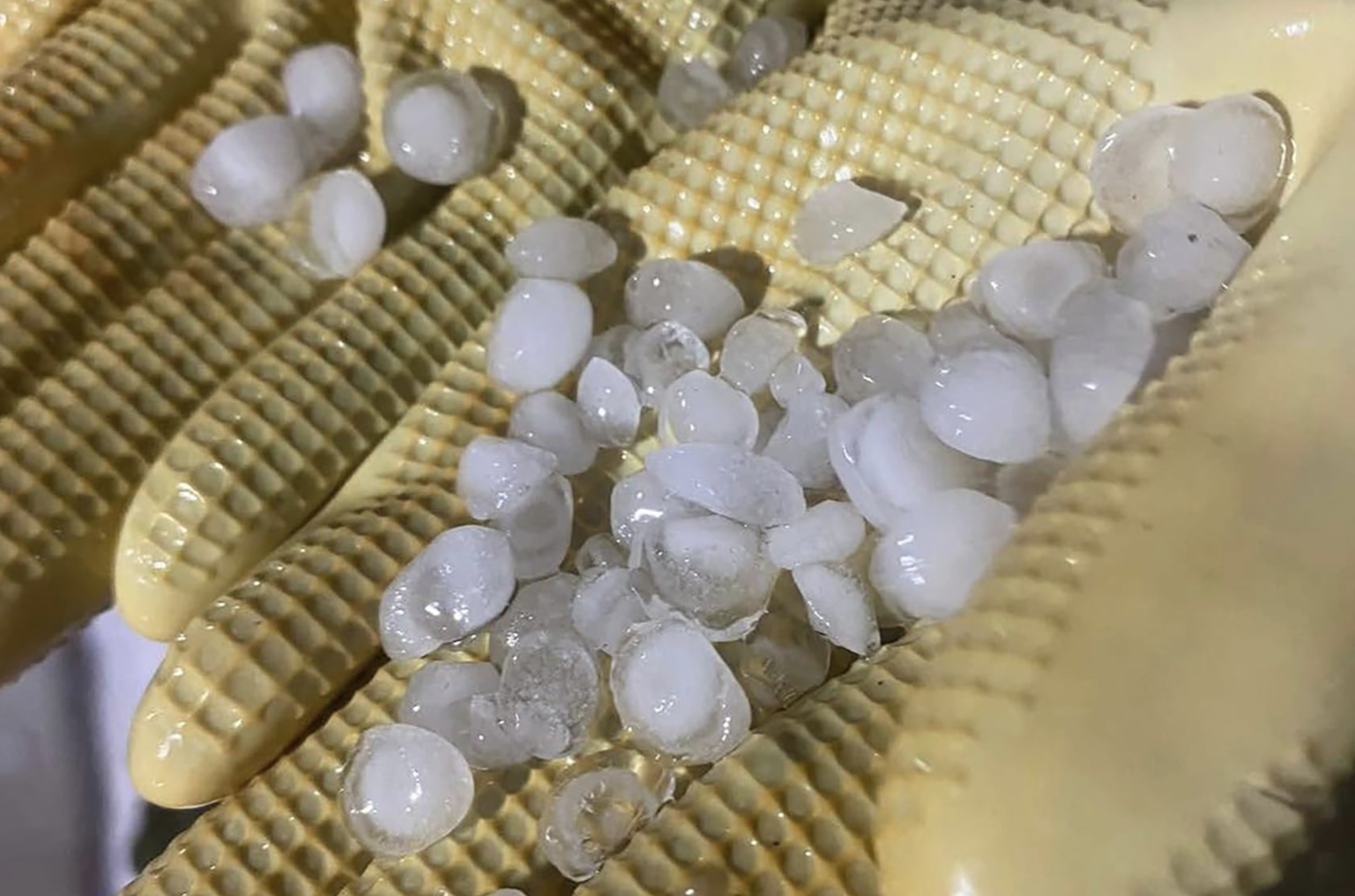 Giông lốc lật bè ở Cô Tô, hai mẹ con tử vong - Ảnh 2.