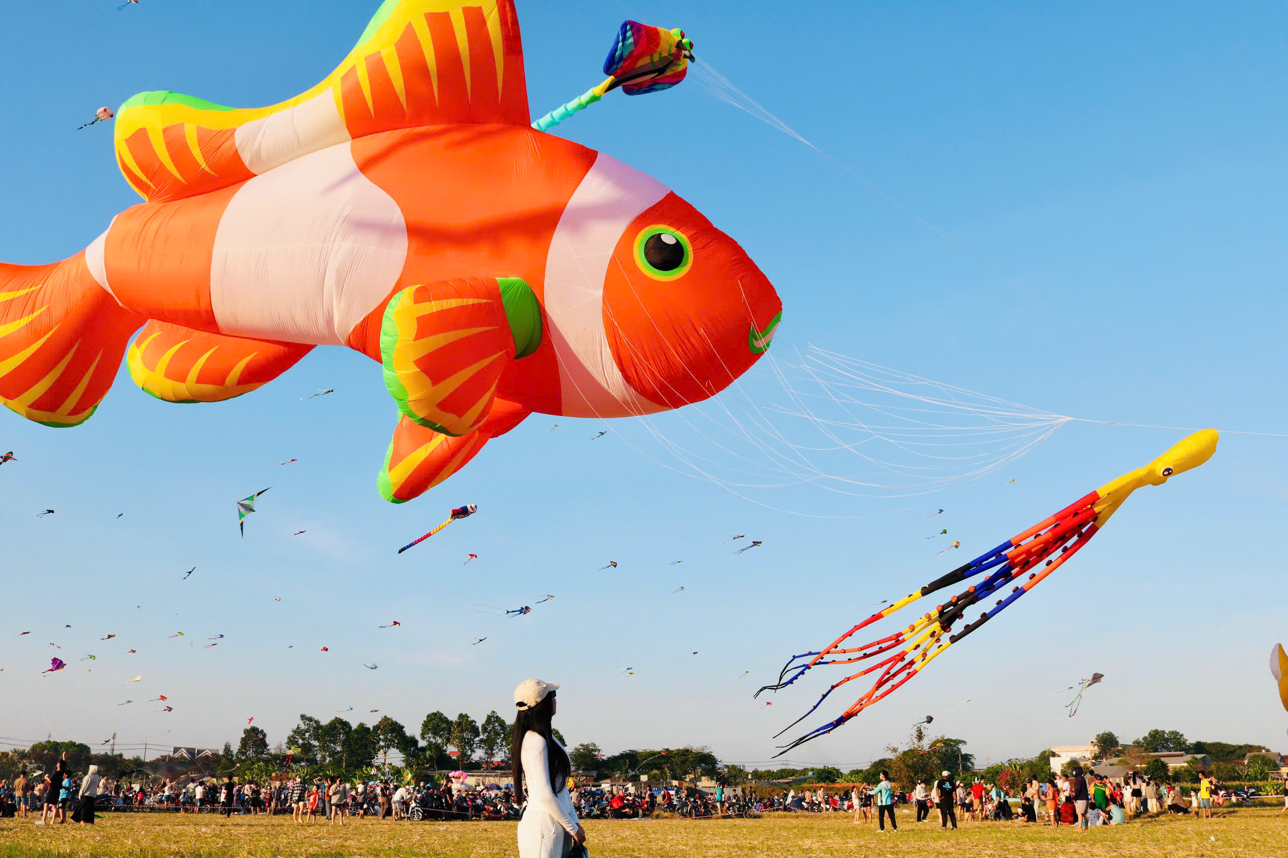 Choáng ngợp với con diều 'khổng lồ' dài 30 m, có giá hơn 40 triệu đồng - Ảnh 1.